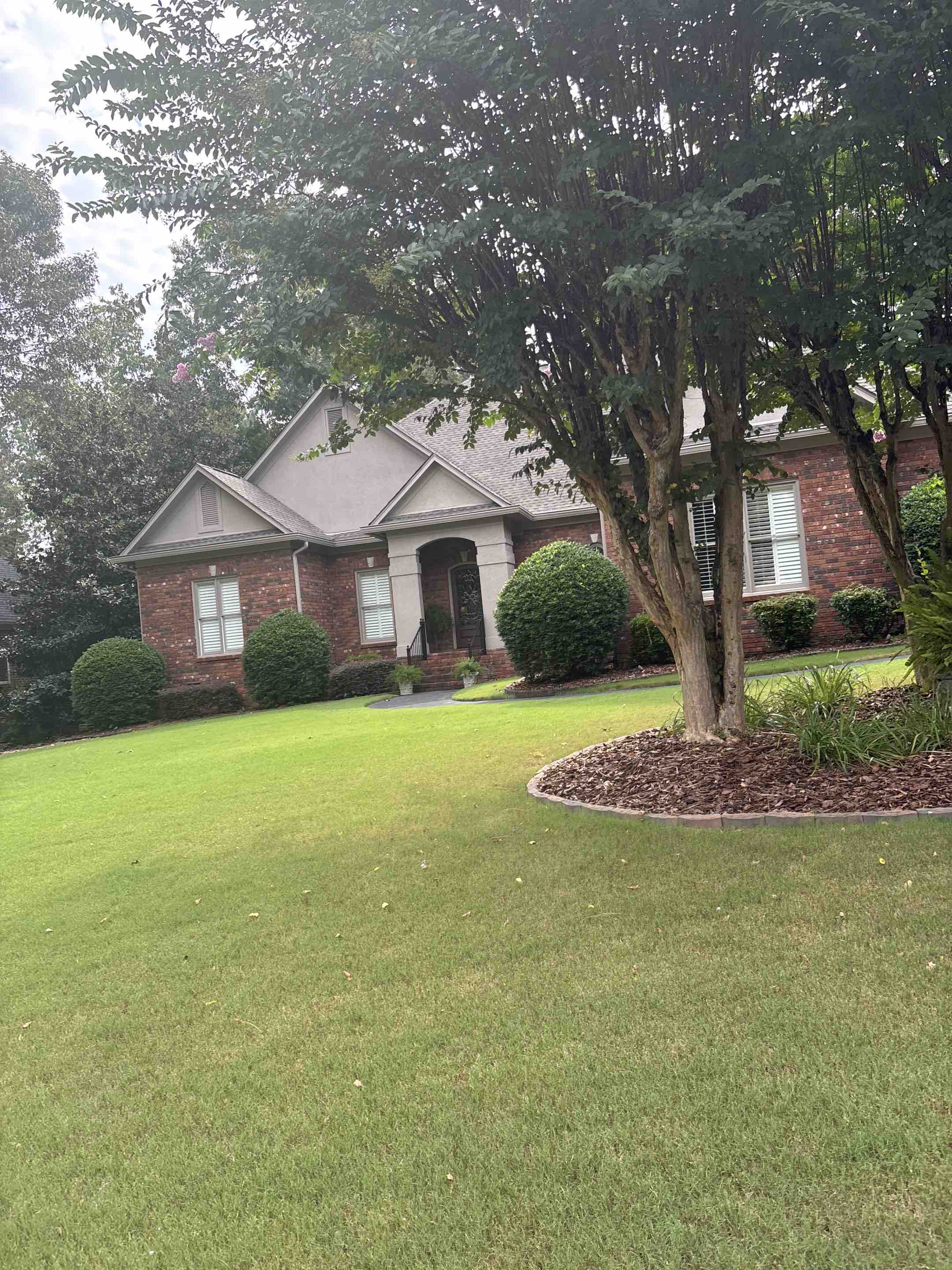 Birmingham, AL - Exterior windows with select interior windows