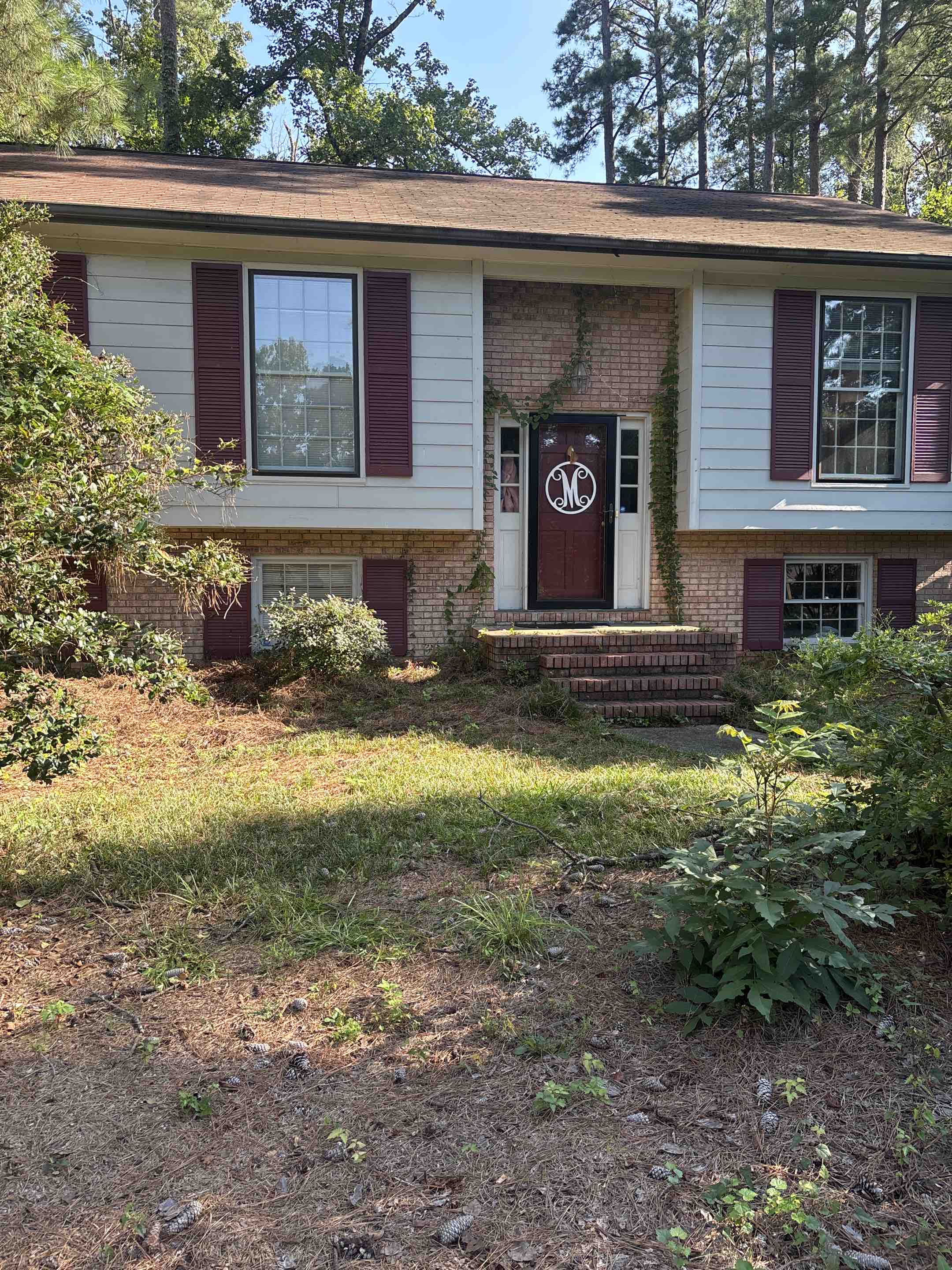 Birmingham, AL - Just cleaned the gutters 