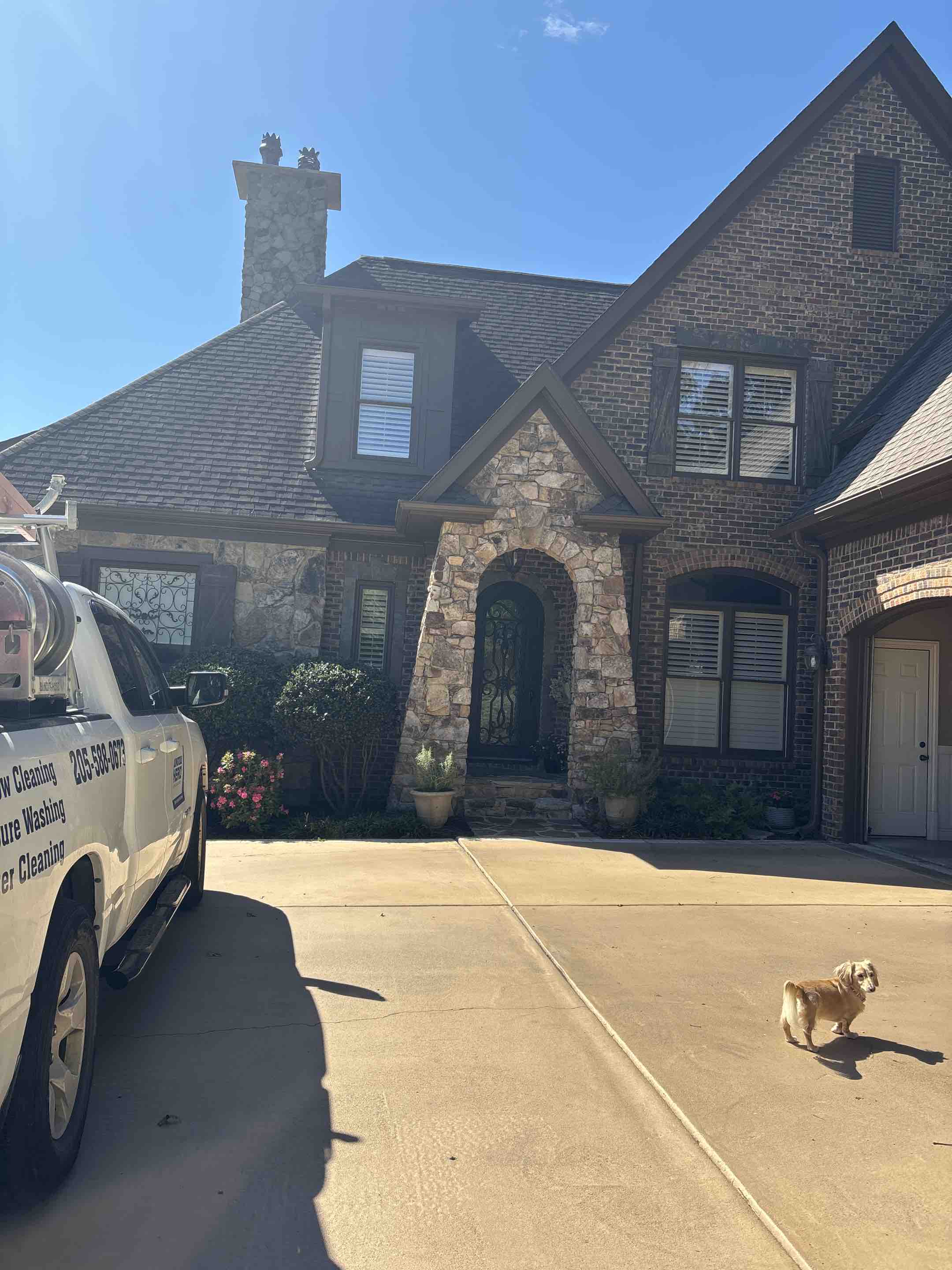 Birmingham, AL - Gutter cleaning
