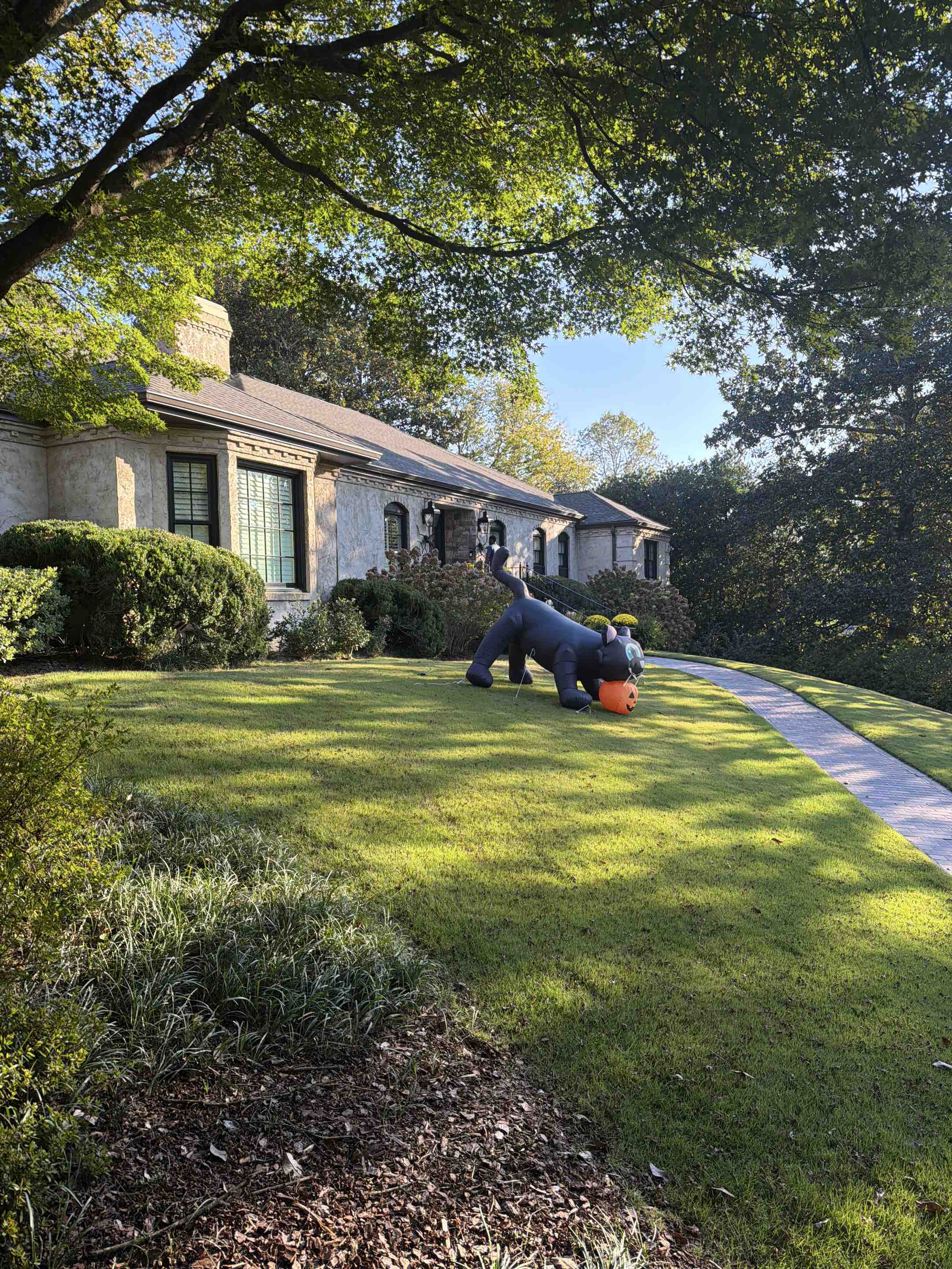 Birmingham, AL - Exterior window cleaning includes skylights and gutter cleaning 