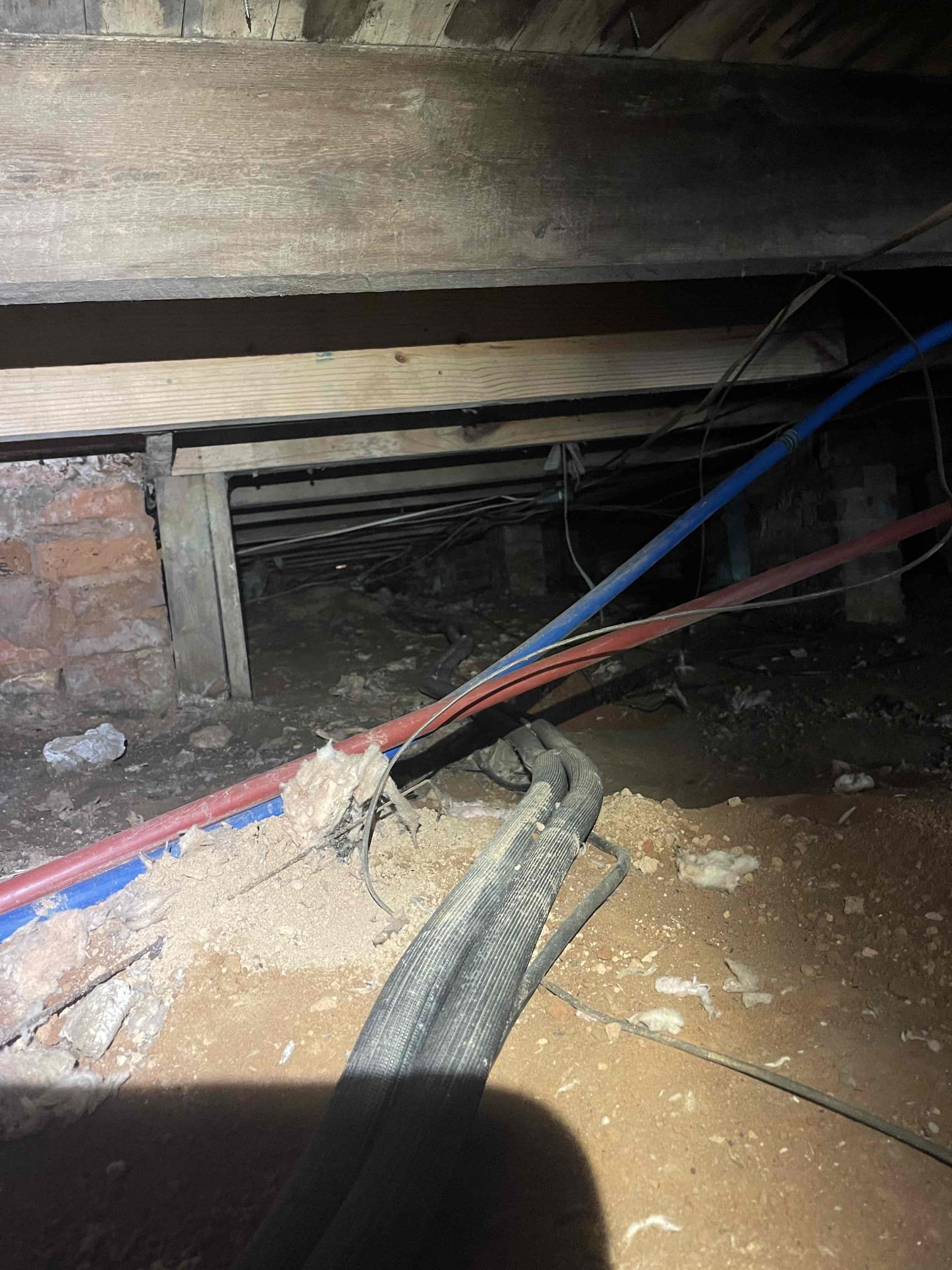 Customer has a mini split with 3 heads, two linesets are ran along the side of the house and one linset is ran under the house. The suspected damaged lineset is the one under the house. The hose is on a slope, and it gets very narrow where the lineset runs. Customer is fine with someone coming out tomorrow afternoon 2-4 to look at. Will speak with Kelsey on rescheduling this.