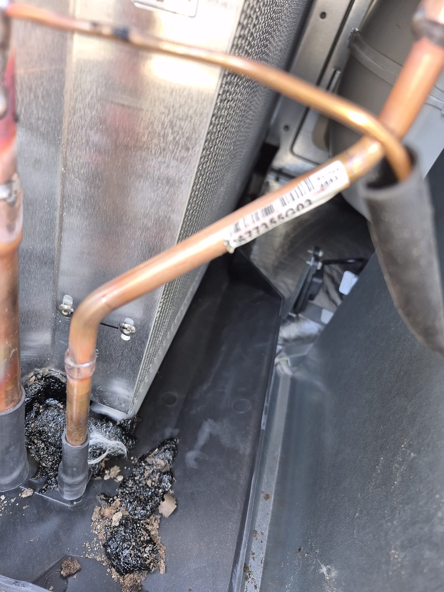 Arrived today 4:00pm try to do my best to finish but it is 80% of tge job completed, spoke with homeowner she is fine for us to come back monday. 