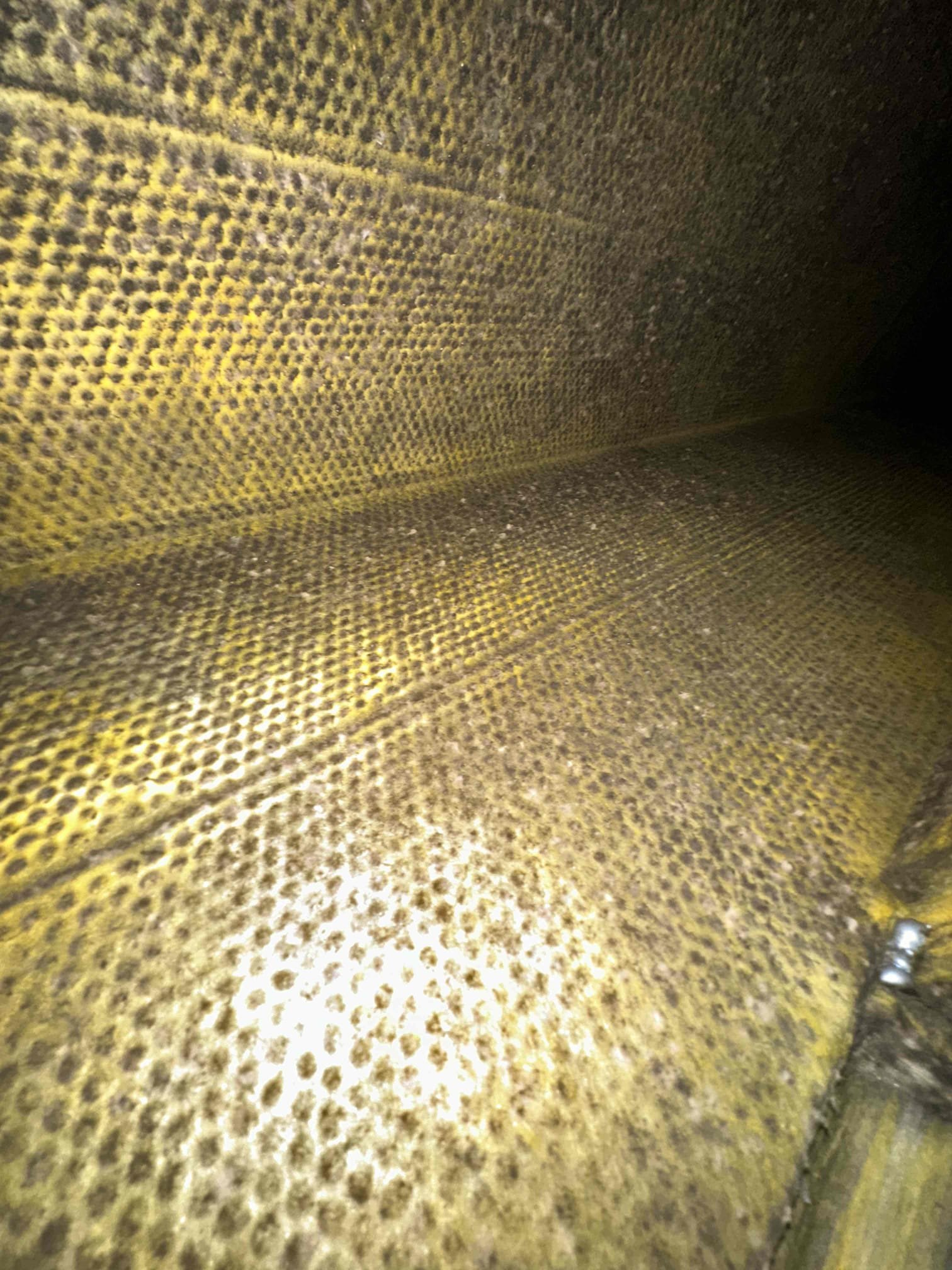 Customer just moved in a month ago will call us back he don’t want to do anything at this time