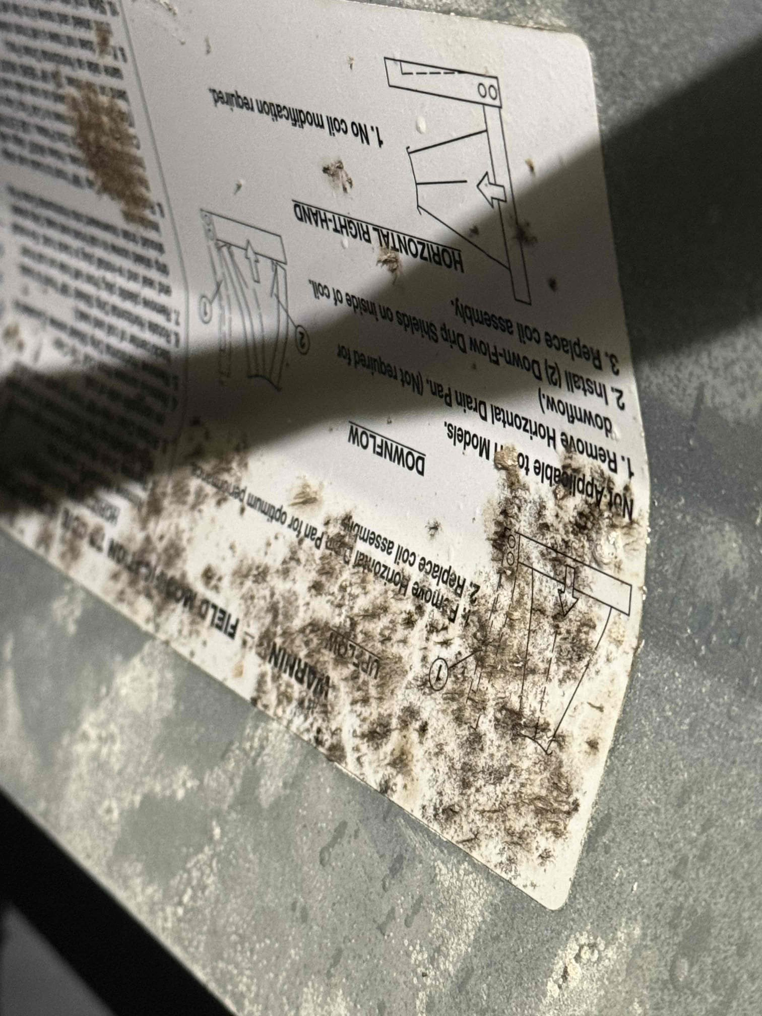 Installation of bacteria growth inhibitor at the evaporator coil inside the air handler in the attic