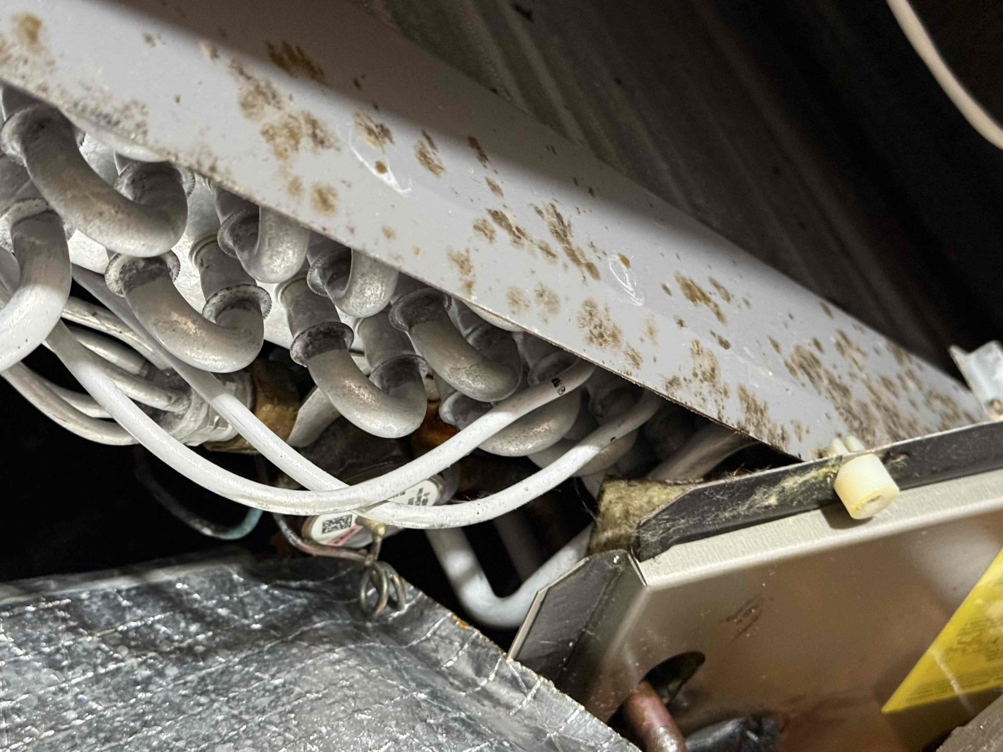 Performed preventative maintenance and installed bacteria, growth inhibitor, as well as the viral pathogen eliminator