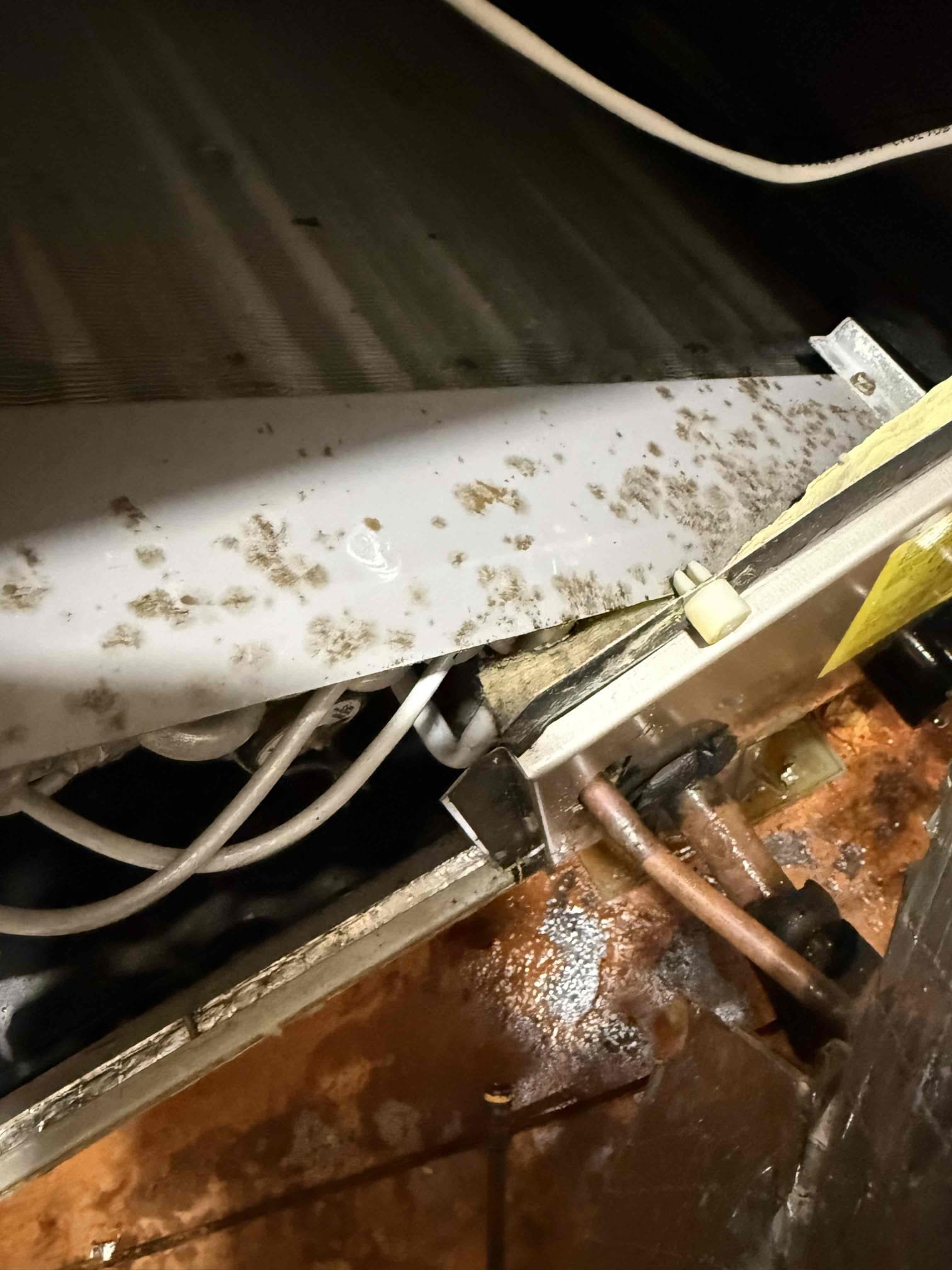 Performed preventative maintenance and installed bacteria, growth inhibitor, as well as the viral pathogen eliminator