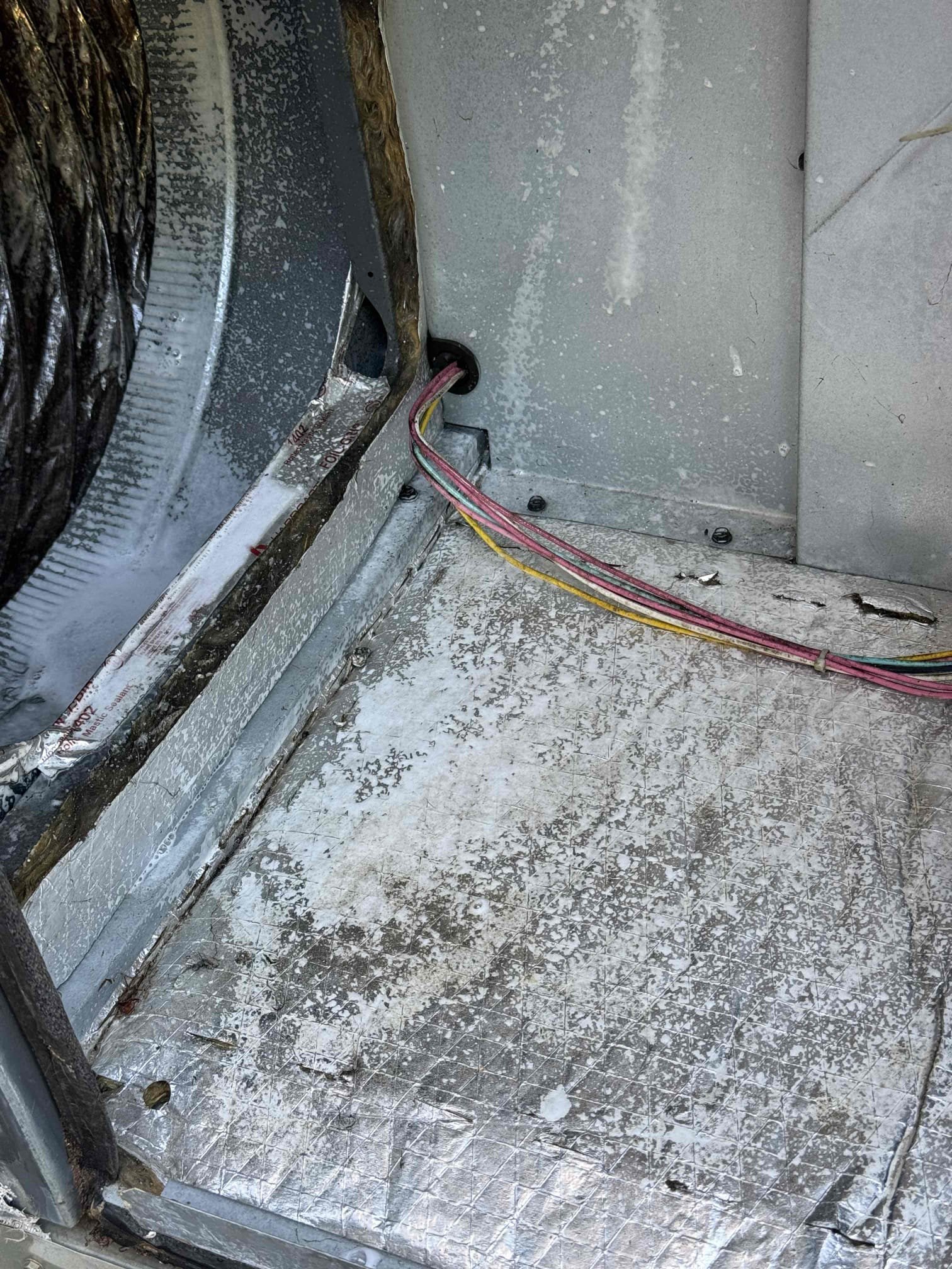 Seasonal maintenance, coil’s washed