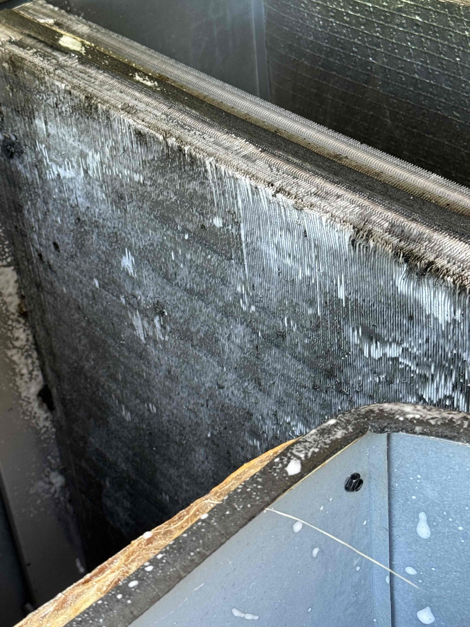 Seasonal maintenance, coil’s washed