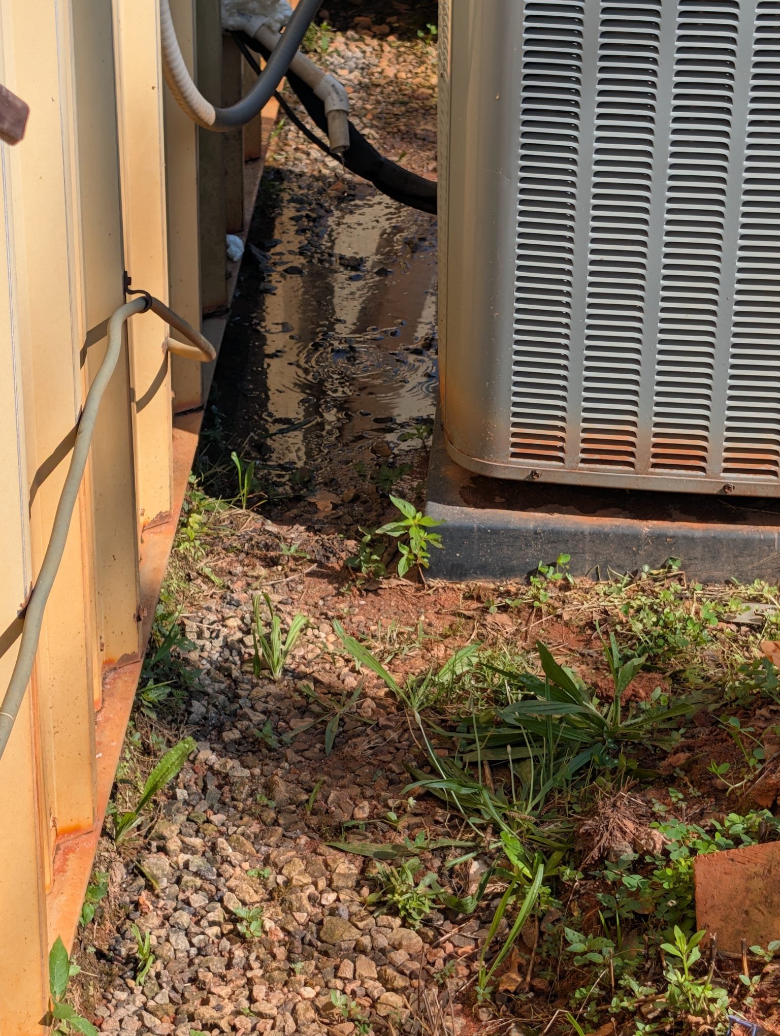 Releveled hanging unit to proper pitch. Removed EZ trap and installed ss1 switch with new p-trap. Adjusted grade on drain coming out of the wall. Verified draining. 