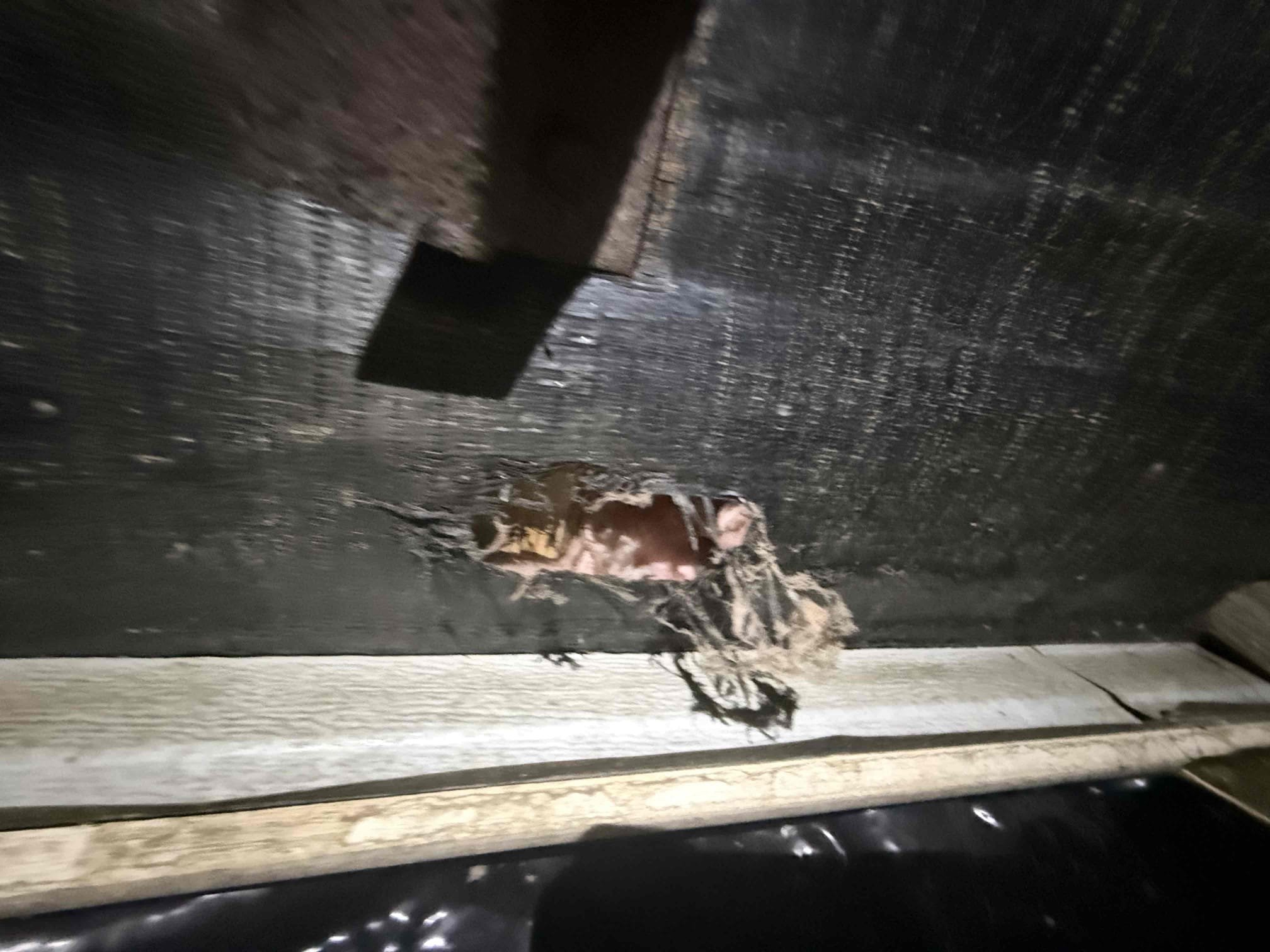 Service Report:

Arrived on site and performed an inspection of the crawl space area. During the evaluation, a penetration/opening was identified that could allow rodents, specifically mice, to gain access to the crawl space and potentially enter or damage the HVAC ductwork. Sealed the identified opening using appropriate materials to help prevent rodent intrusion and protect the integrity of the duct system.

After completing the repair, verified that the area was properly secured and that no additional access points were visible at this time. This preventative measure will help reduce the risk of future ductwork damage, air leakage, contamination, and efficiency loss caused by pests. Work was completed successfully, and the area was left clean and secure upon departure.