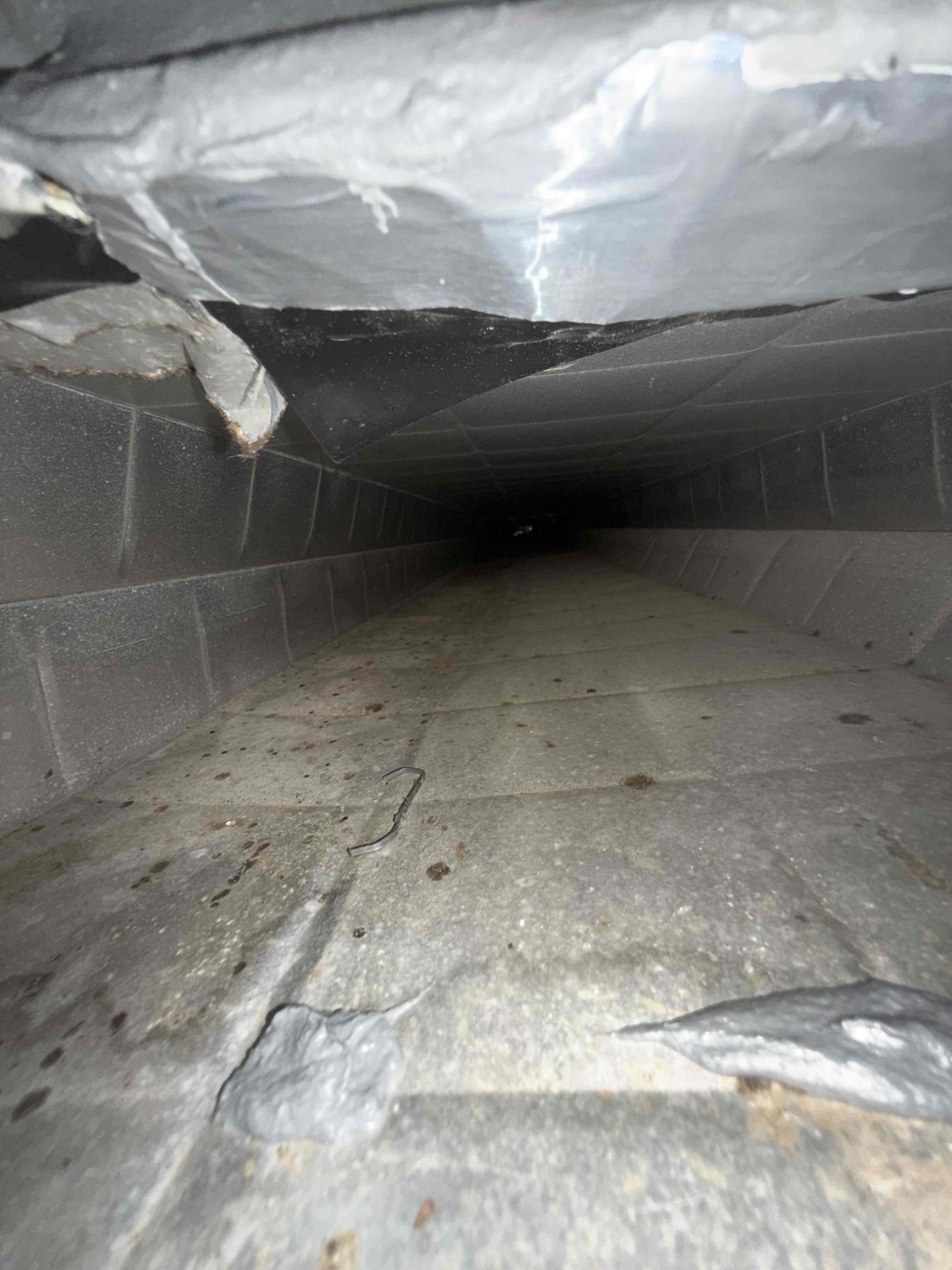Service Report:

Arrived on site and performed an inspection of the crawl space area. During the evaluation, a penetration/opening was identified that could allow rodents, specifically mice, to gain access to the crawl space and potentially enter or damage the HVAC ductwork. Sealed the identified opening using appropriate materials to help prevent rodent intrusion and protect the integrity of the duct system.

After completing the repair, verified that the area was properly secured and that no additional access points were visible at this time. This preventative measure will help reduce the risk of future ductwork damage, air leakage, contamination, and efficiency loss caused by pests. Work was completed successfully, and the area was left clean and secure upon departure.