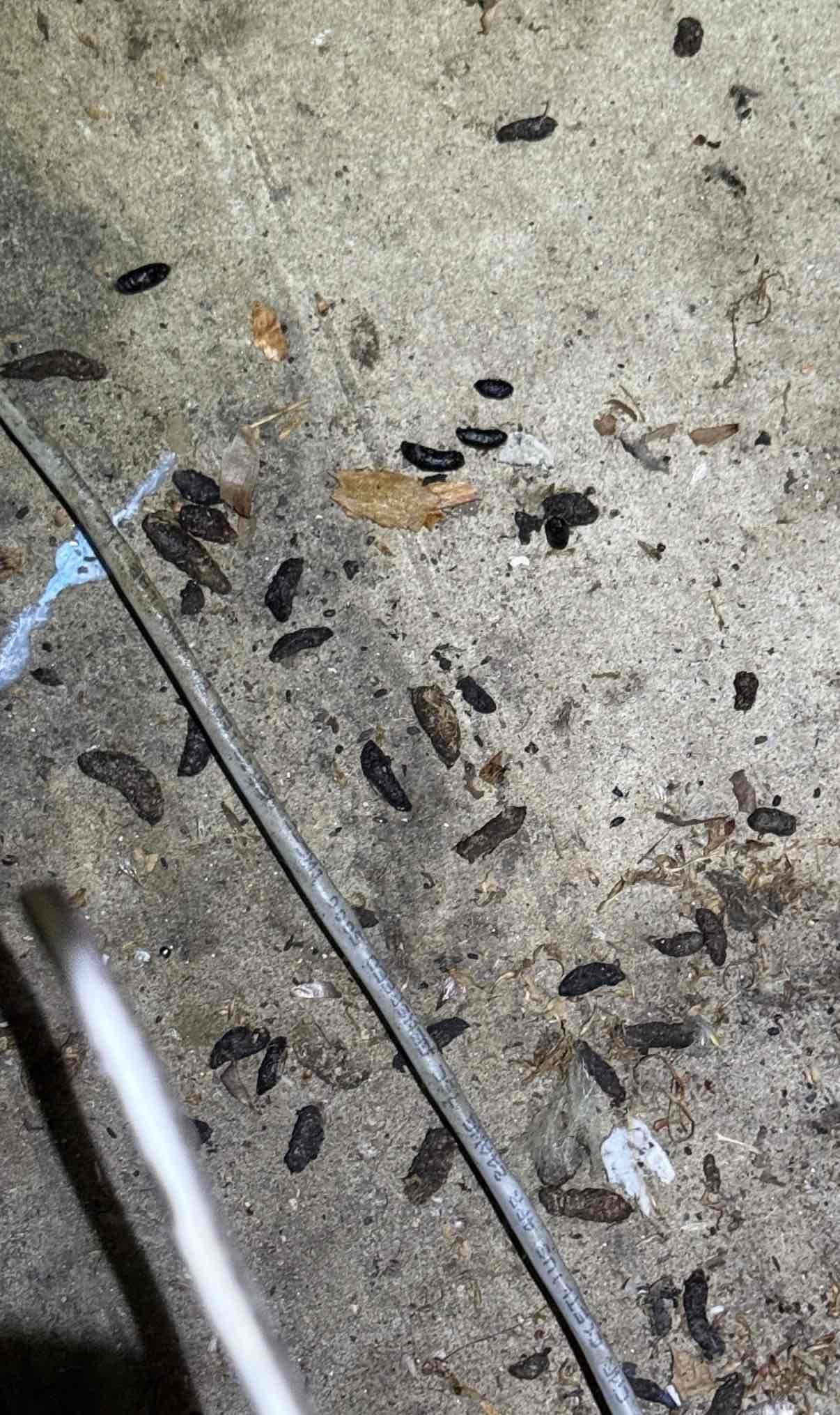 Condensate hose was not cracked nor broken nor pierced. Condensate hose was chewed through by a rodent signs of the rodent was local to the hose, and it is very obvious that it was chewed through… pictures in documents.