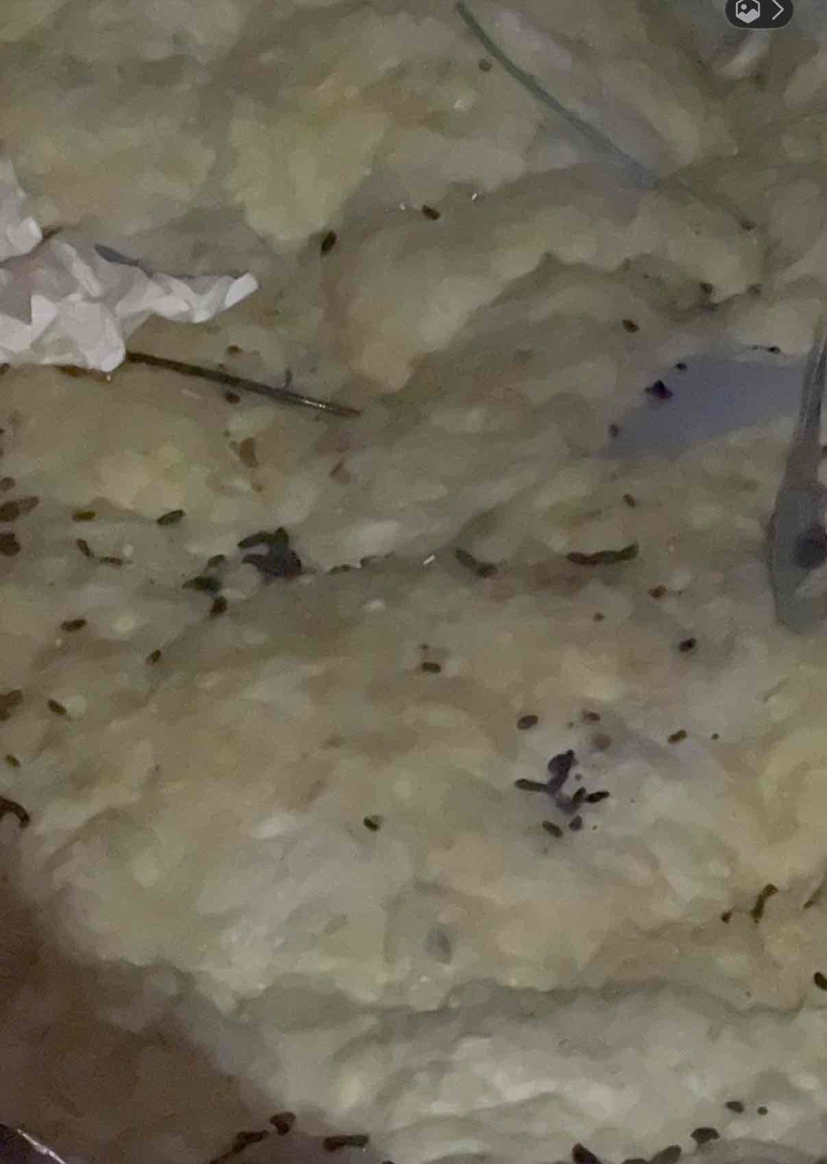 Condensate hose was not cracked nor broken nor pierced. Condensate hose was chewed through by a rodent signs of the rodent was local to the hose, and it is very obvious that it was chewed through… pictures in documents.