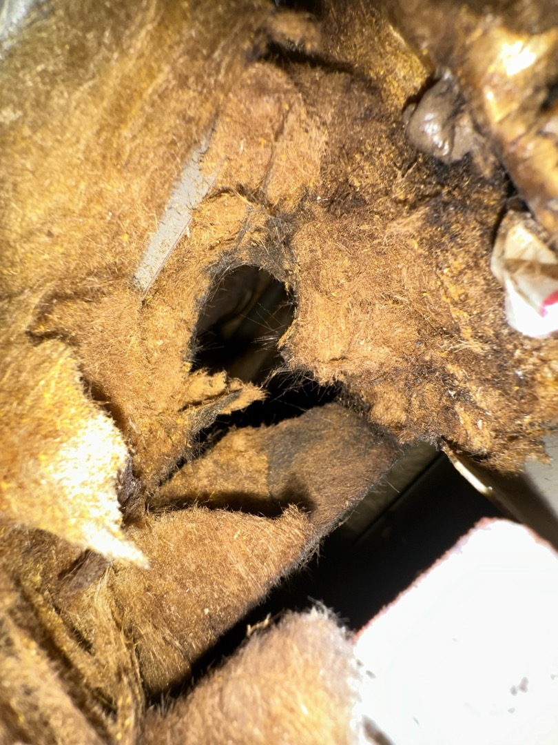 Arrived on job completed full inspection of system and crawlspace turn call over to Andy Andy to return tomorrow with Customer