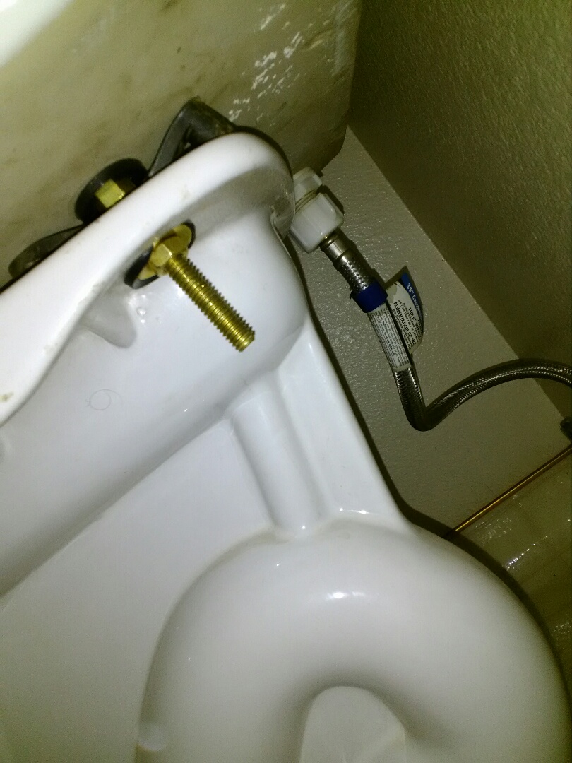 Replaced old garbage disposal with new one,replaced shower cartridge and tub diverter,and replaced tank to bowl bolts and seal