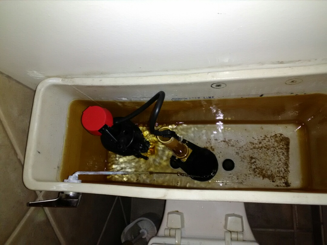 Replaced toilet flappers
