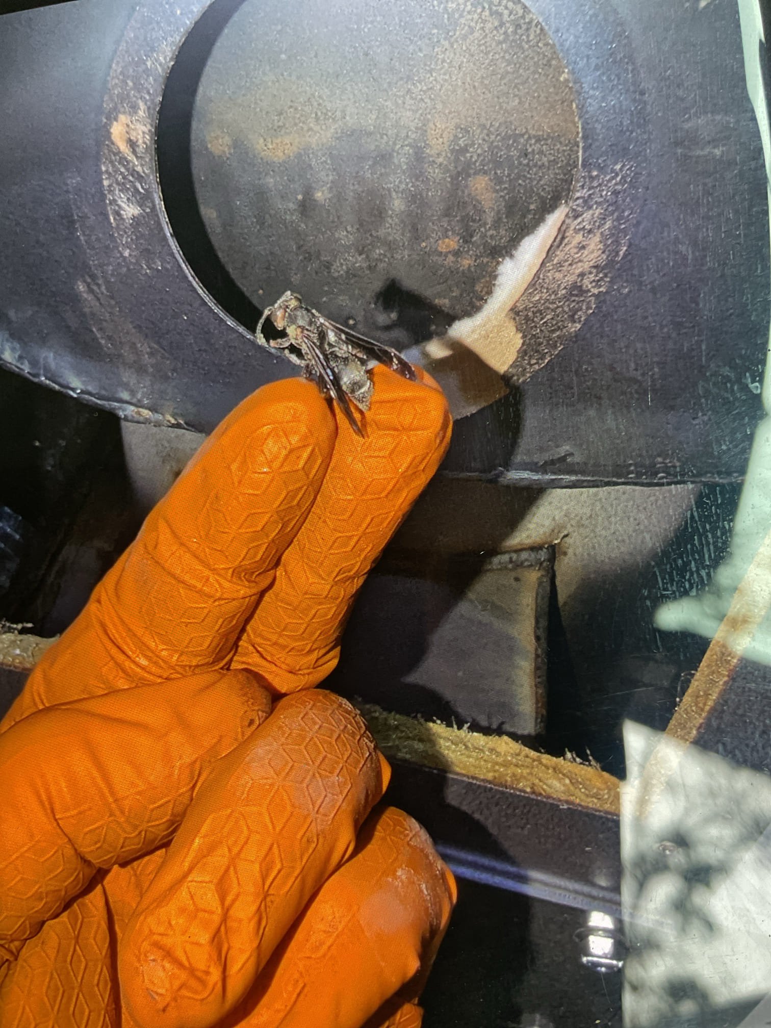 Completed Oil Heat tune up:

Bosch heat pump inverter W
Spirit low-boy oil furnace 105,000 BTU

Cleaned washable filters. Vacuumed. Not terribly dirty.
Cleaned flues and heat exchanger, very little soot or debris 
New GarBer Spin on oil filter, strainer is clean, new .75 80°A nozzle.
Inspected cad cell eye, electrodes, air band and shutter, tiger loop.
Verified pump pressure 
Inspected wiring, controls, electric motors and components. Set post-run time for burner to 30 seconds @ primary control 
Measured temperature rise.

Smoke, draft and combustion tests: Pass

Water heater T+P valve is piped facing up. This is a safety hazard. Needs to be piped to the floor. Left estimate to address this. Pipe it correctly in copper to the floor. 

Left estimate for single UV light to be installed directly over 

Oil furnace operating well at this time 
Repipe T+P valve piping to floor