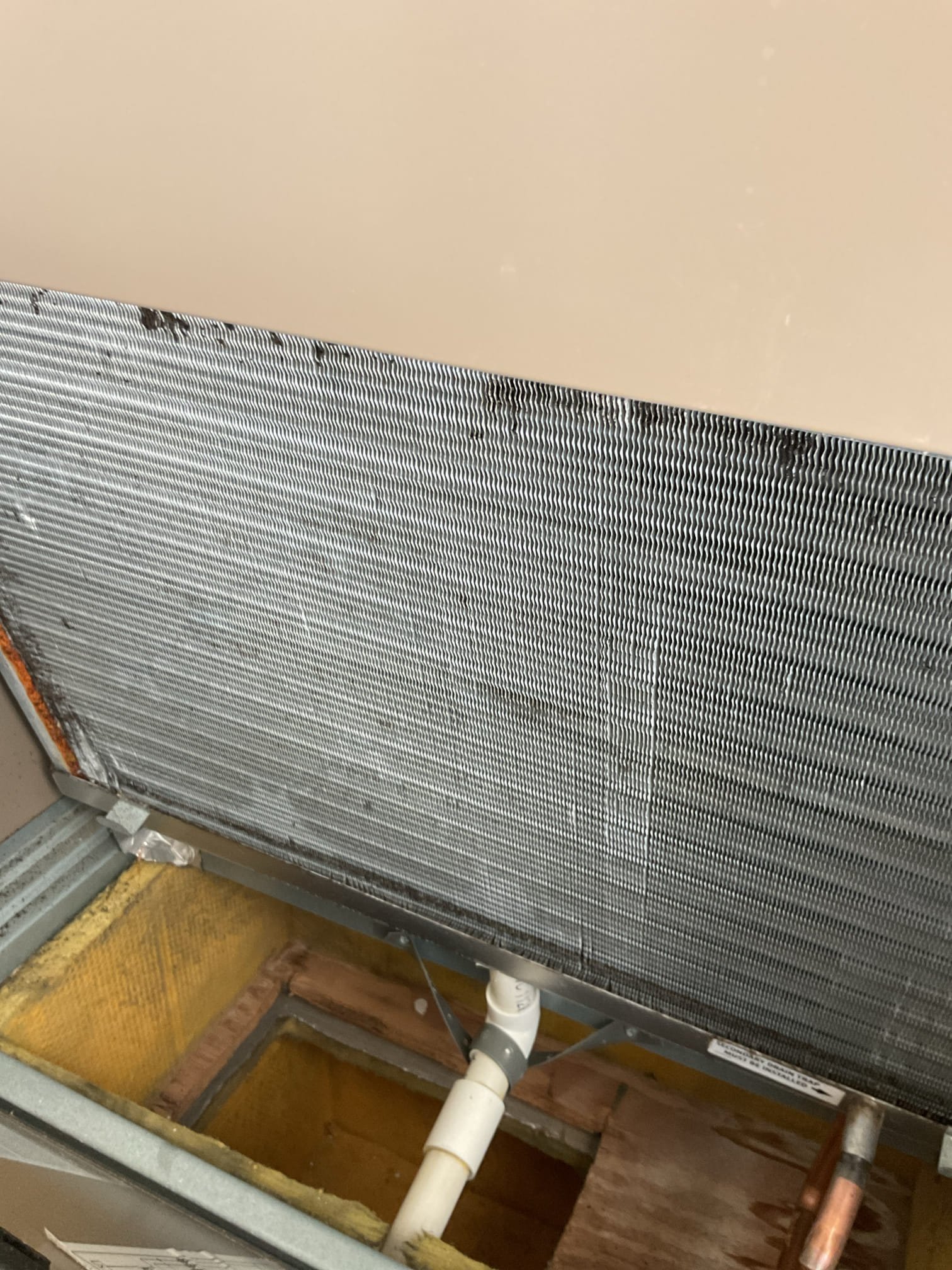 Completed heat tune up for comfort pack unit. 51,000 BTU input.

Replaced filter 16x25x1
Inspected burners, spark ignitor, inducer assembly.
Cleaned flame sensor and verified flame rectification circuit
Inspected wiring, controls, electric motors and components. Heating fan speed was TAP 2 med high I changed to Hi because supply temp got very close to hi limit point. Supply temp improved after adjustment. They have a few supply grills closed. In the winter it is better to have them opened because the duct system is too small to support them being closed. There is no surge protection. Left email estimate for heavy-duty surge protector 

Made adjustment to outlet gas pressure (from 2.6” to 3.4”)
Combustion and draft tests: Pass

System operating well at this time,