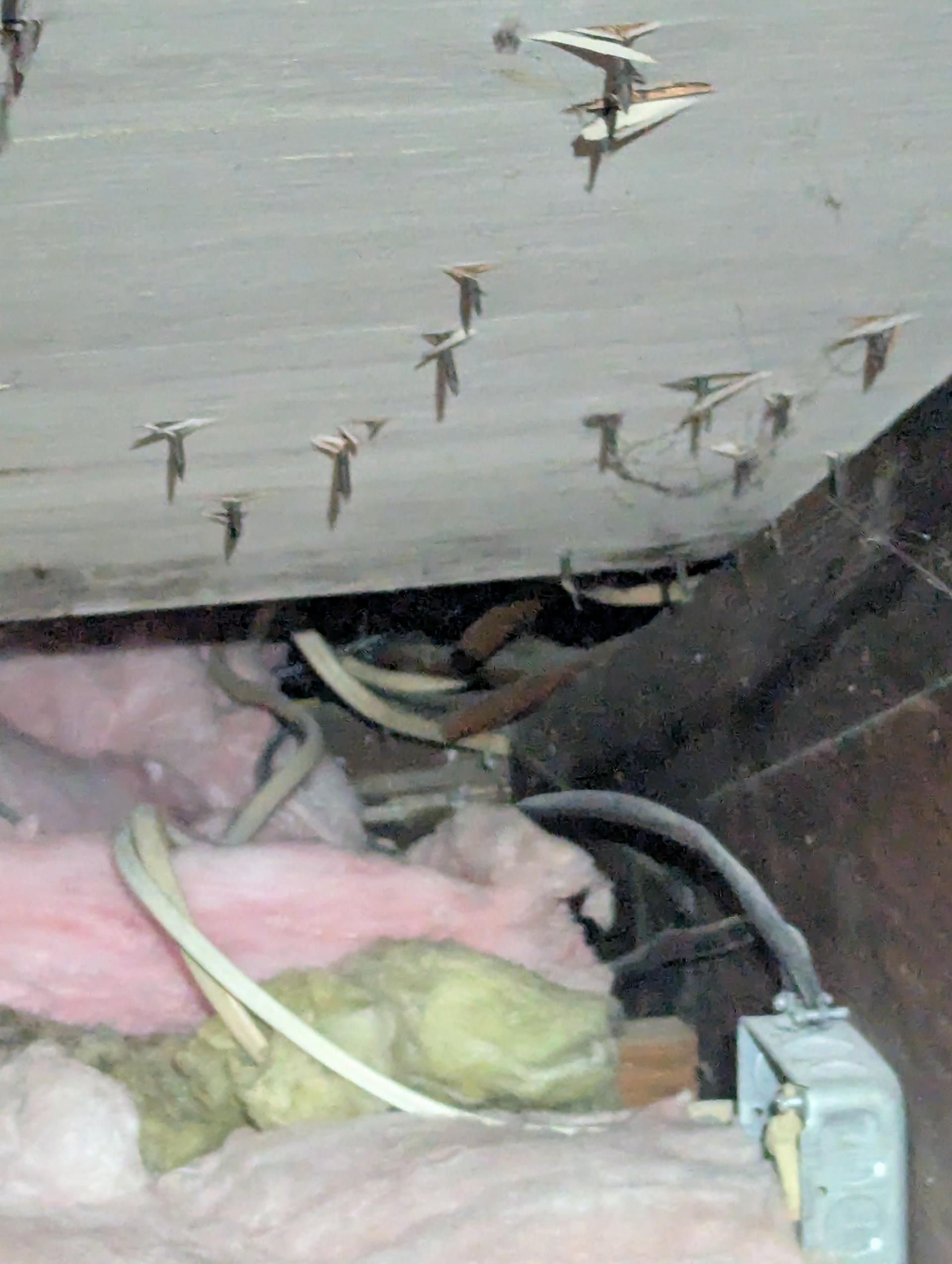 Completed AC tune up for 2.5 Ton Americn standard heat pump system

20x25x4 filter ok
Indoor and outdoor coils in good condition 
Inspected wiring, controls, electric motors and components; checked electric heat amp draw 40A 10KW Good. 
Measured temperature rise and static pressure 
Inspected drains; added treatment tabs to drain pan. 
Checked integrity of compressor motor (mega ohm test)

Assessed refrigerant charge checked pressures. 

AC system operating well at this time. 

There is a small vanity where plumbing freezes from time to time. I popped drop ceiling tiles and it is the pipe between the vanity drywall and the exterior wall that must not be insulated.
The space above ceiling has adequate blown in fiberglass insulation
 
Homeowner renewed plan membership today, 