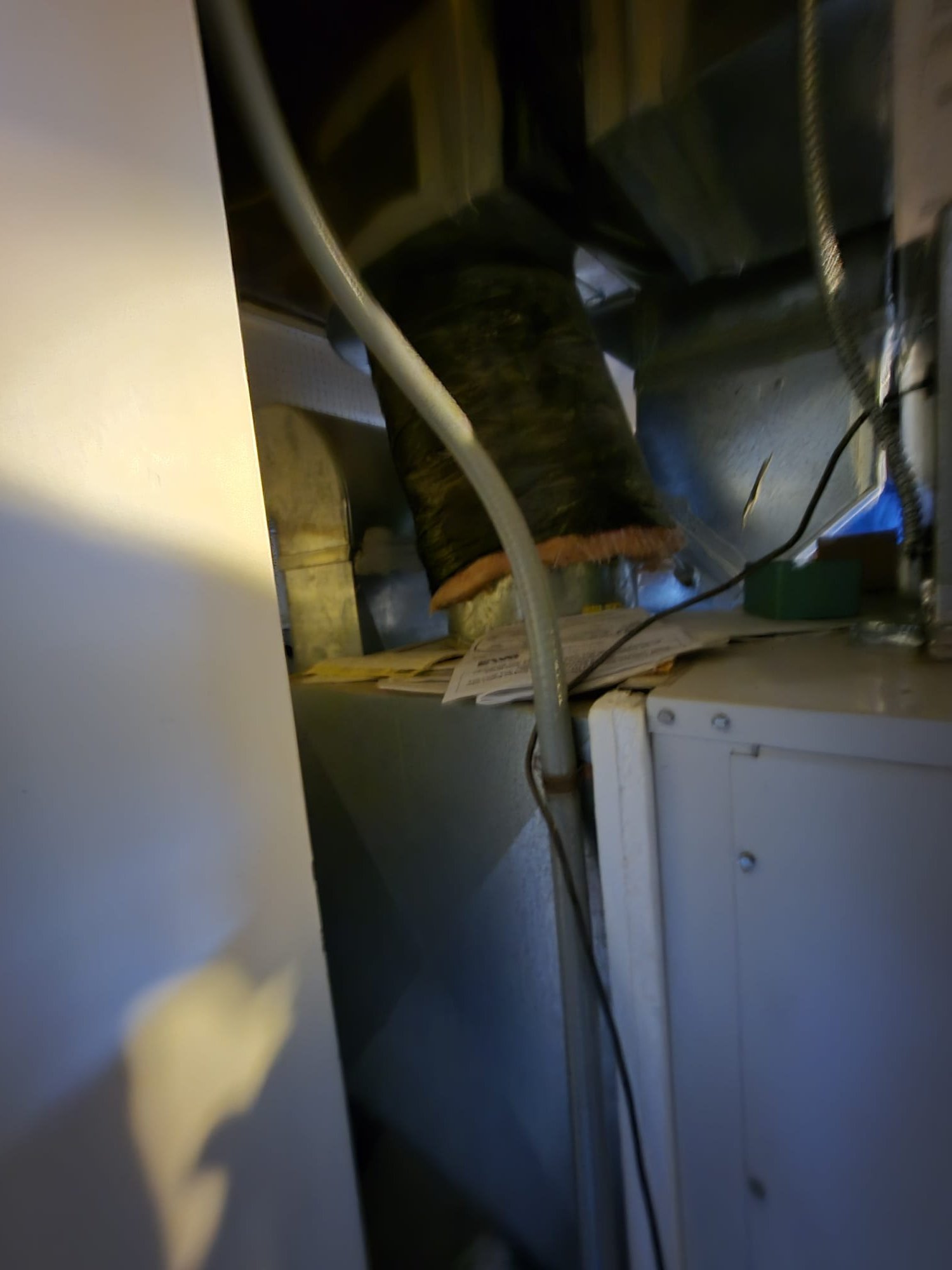 Dillon qouted 2 geo replacement options 