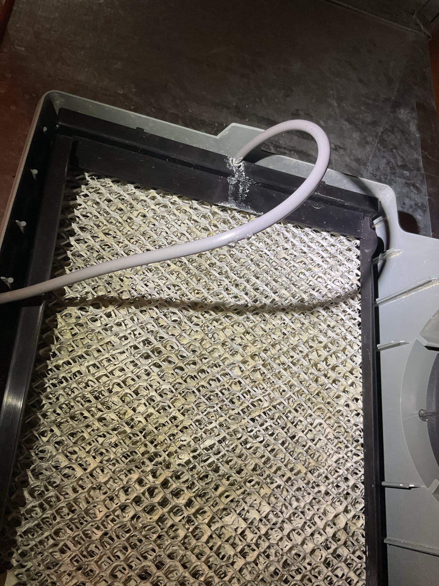 10-31-25 Luis performed gas heat tune up on 80% American standard heater check all electrical con and components ok replace air fire clean sensor and burners ok check gas pressure combustion test on heater ok. Check supply and return air temps ok inspect blower and heat exchanger ok service humidifier replace pad and clean interior. I found feed tube leaking provided estimate to replace tube, customer approve repairs. Check water connections and test humidifier ok service to winter 35%. Cycle gas heater ok. I did recommend adding water sensor around unit to protect from water damage. Customer can install his own water sensors I did provide estimate for us to install water sensors. 