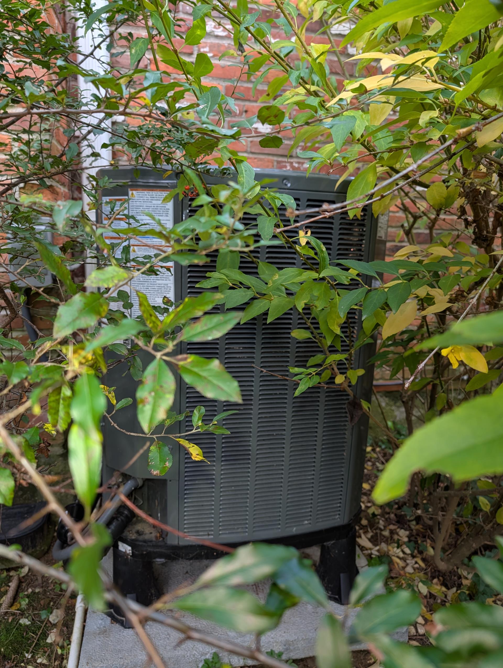 Completed (2) Heat tune ups.

Second floor System heat pump 2 tons. Replaced Aprilaire 313 filter from truck stock.
Fiat floor system 80,000BTU natural gas furnace. Replaced 16x25x1 filter. 
attic system filter.

For the heat pump:
Indoor and outdoor coils in good condition 
Inspected wiring, controls, electric motors and components; 10KW Electric heat amps 41 Good
Measured temperature rise and static pressure 
Inspected drains; cleared EZ trap, added treatment tabs to drain pan. 
Checked integrity of compressor motor (mega ohm test)
Assessed refrigerant charge checked pressures. 

Heat pump system operating well at this time. 

For Gas furnace:

Inspected heat exchanger, burners, flue pipe, inducer assembly and hoses
Inspected hot surface ignitor and verified resistance with meter
Cleaned flame sensor and verified flame rectification circuit
Measured temperature rise and static pressure
Checked wiring, controls, electric motors and components; there are no surge protectors; left estim