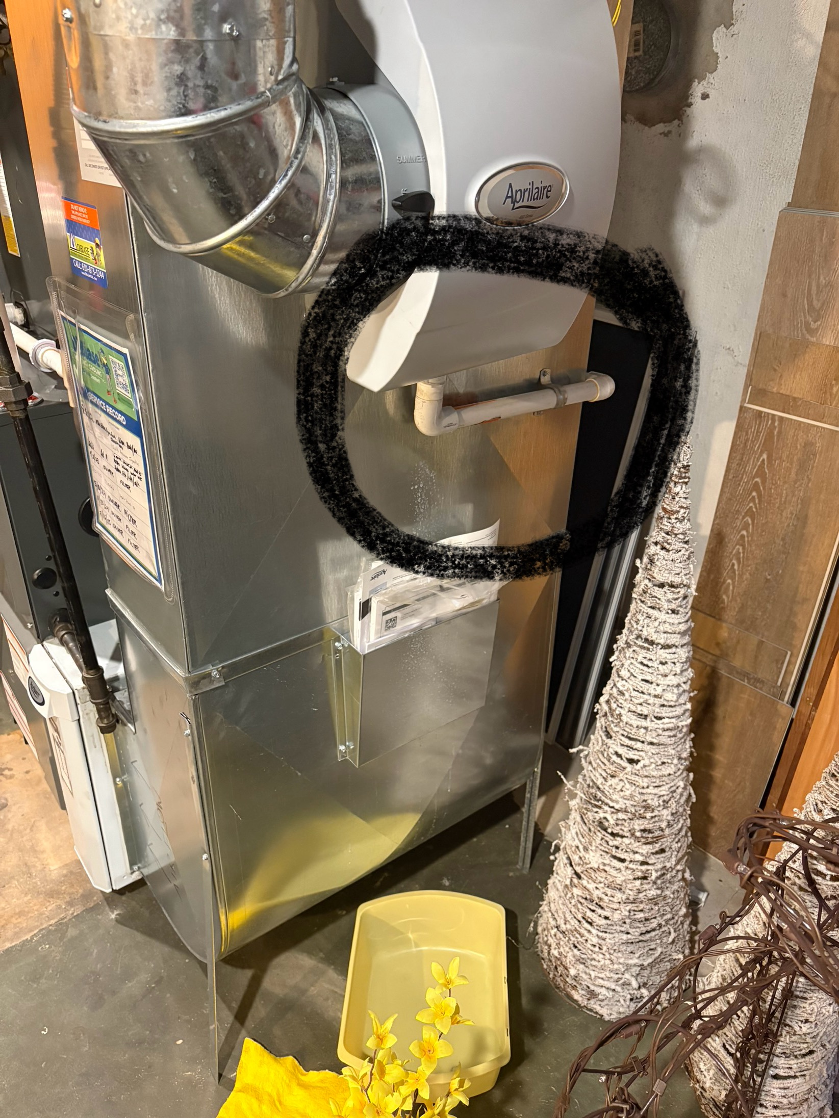 11/11/25 Dan 

I arrived for a water leak on a forced air system.
Found humidifier 600m was causing the water leak . The #35 panel was expired causing the water to run around the panel and drip out of the seam. I quoted the customers $199.62 to service the humidifier. Collected for $99.00 diagnostics and the $199.62 total $298.62. Paid by cc. 