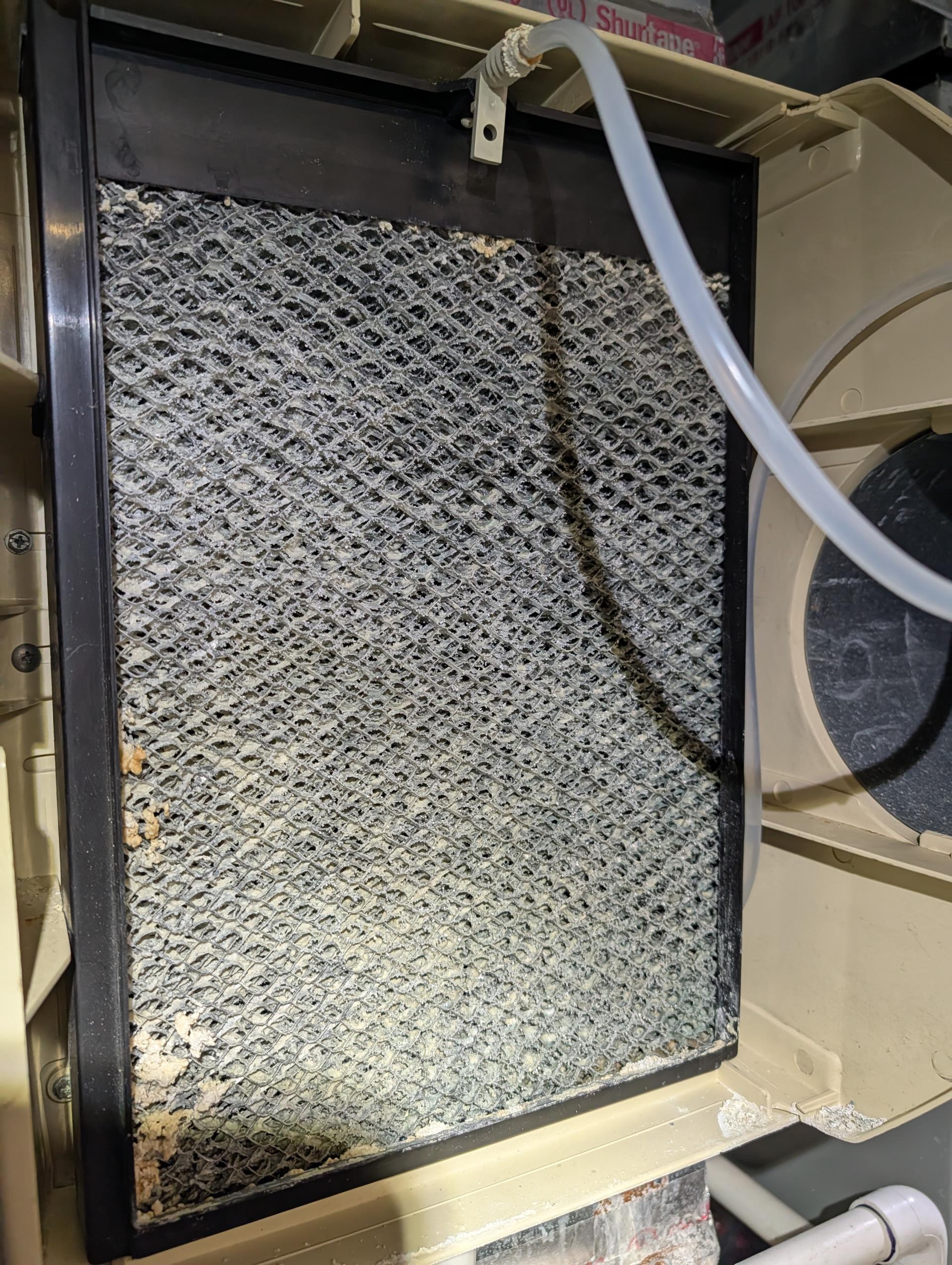 
Completed heat tune up for natural gas furnace.

Replaced Aprilaire 213 filter provided by homeowner 

Replace. Aprilaire 35 water panel provided by homeowner. Left estimate for our humidifier maintenance which includes new water panel

Inspected heat exchanger, burners, flue pipe, inducer assembly and hoses
Inspected hot surface ignitor and verified resistance with meter
Cleaned flame sensor and verified flame rectification circuit
Measured temperature rise and static pressure
Checked wiring, controls, electric motors and components; there are no surge protectors; left estimate for blower motor surge protector 
Checked manifold gas pressure
Inspected drain and pump. When I arrived pump was continuously running. Pump is 10 years old presumably. Was very dirty. Offered to replace pump along with vinyl tubing. Provided estimate. Homeowner anted me to clean for now. I cleaned also replaced a small section of the vinyl tubing because it was so caked with gunk. Afterwards tested. Ok but pu