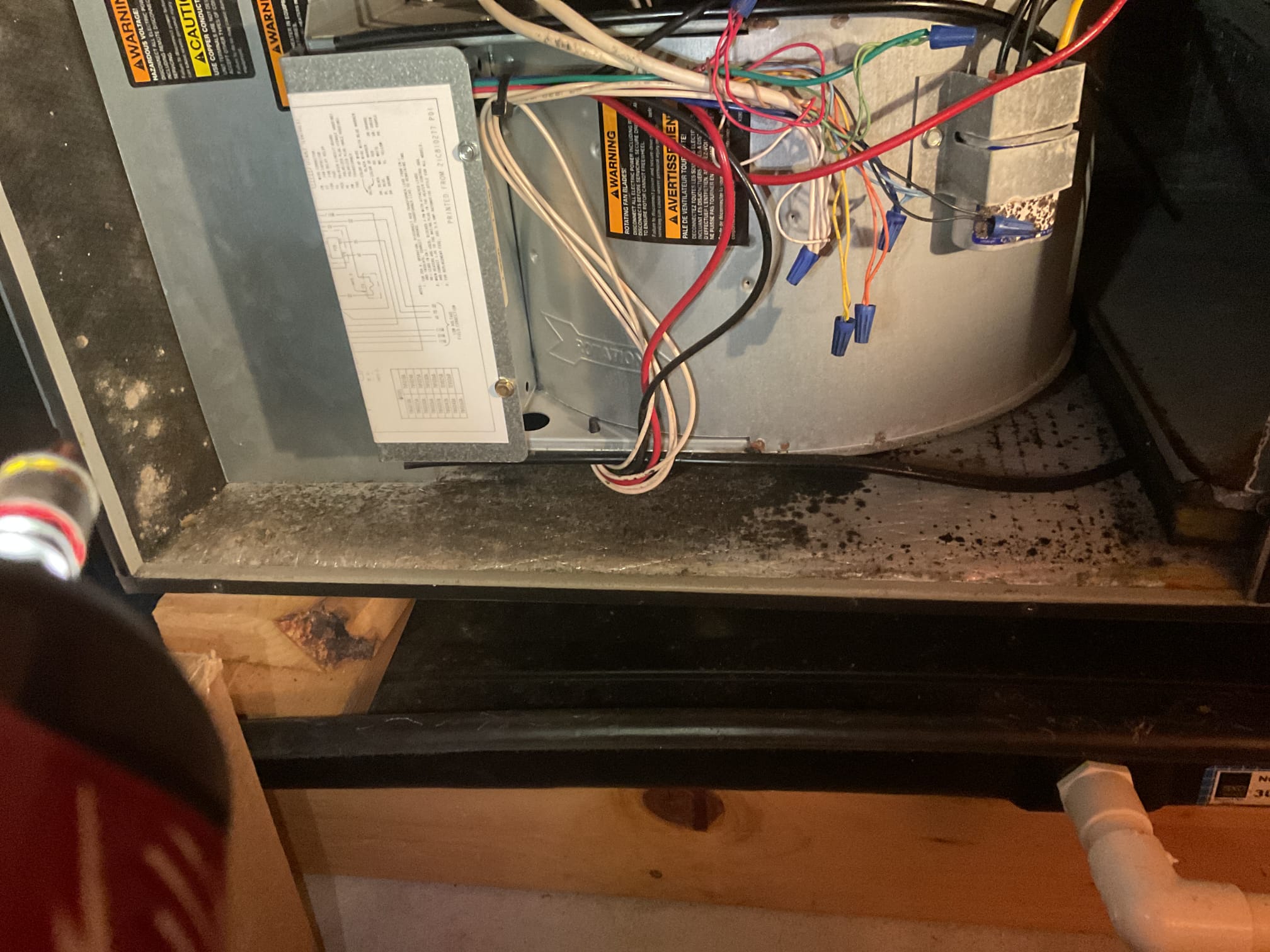 Performed precision heat tune up on Bosch propane gas furnace and 1999 American standard heat pump system. Replaced aprilaire 413 air filter, provided by homeowner. Checked all electrical connections and components. Cleaned flame sensor, tested hsi. Performed combustion test. Checked refrigerant pressures and temperatures. Found r-22 compressor on American standard system does not sound to good. Also found bacterial growth inside air handler. Recommend to homeowner to replace this system. Checked r-22 pressures. Both systems are working at time of service. 