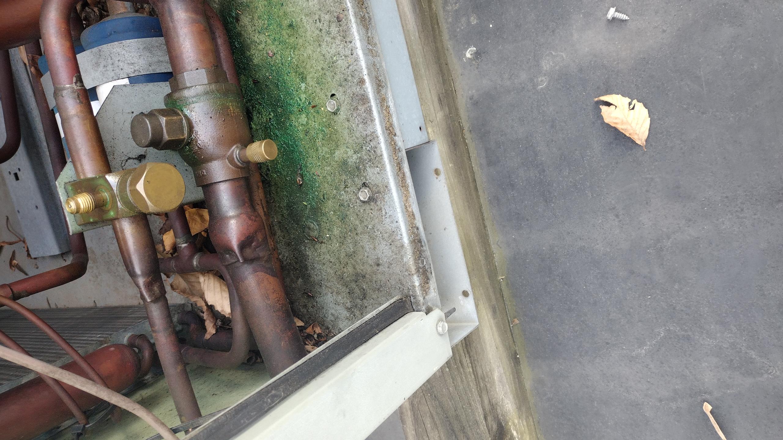 Luis 12-4-25 return visit to go over unit after previous visit. Check refrigerant pressures ok system still heating ok. No follow up needed at this time. I did valve showing dye. Customer will let us know what they want to do. We will provide estimate to replace valve. 