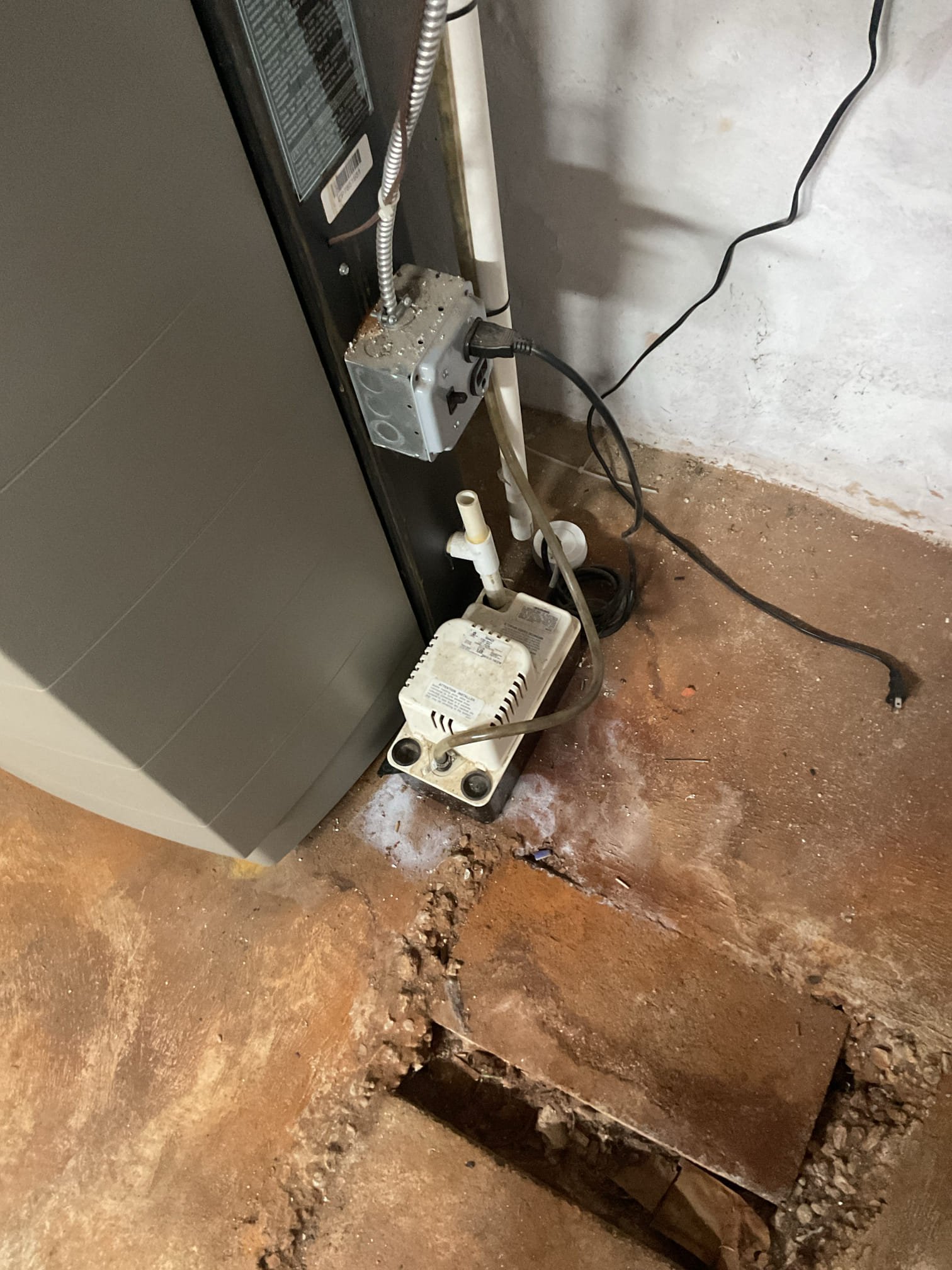 Home to replace his electrode igniter for his ultra boiler. Removed the old electronic igniter and replaced with the new OEM igniter. I had mentioned to the customer when we come out next year for his gas boiler check up that we should replace all the gaskets behind the heat exchanger and at the gas manifold, I turned the system back on tested. I did secure gas manifold and sealed customer had smelled some gas. Everything is back up and running at this time of service. I sent the customer a payment link for the balance of 387.53 .