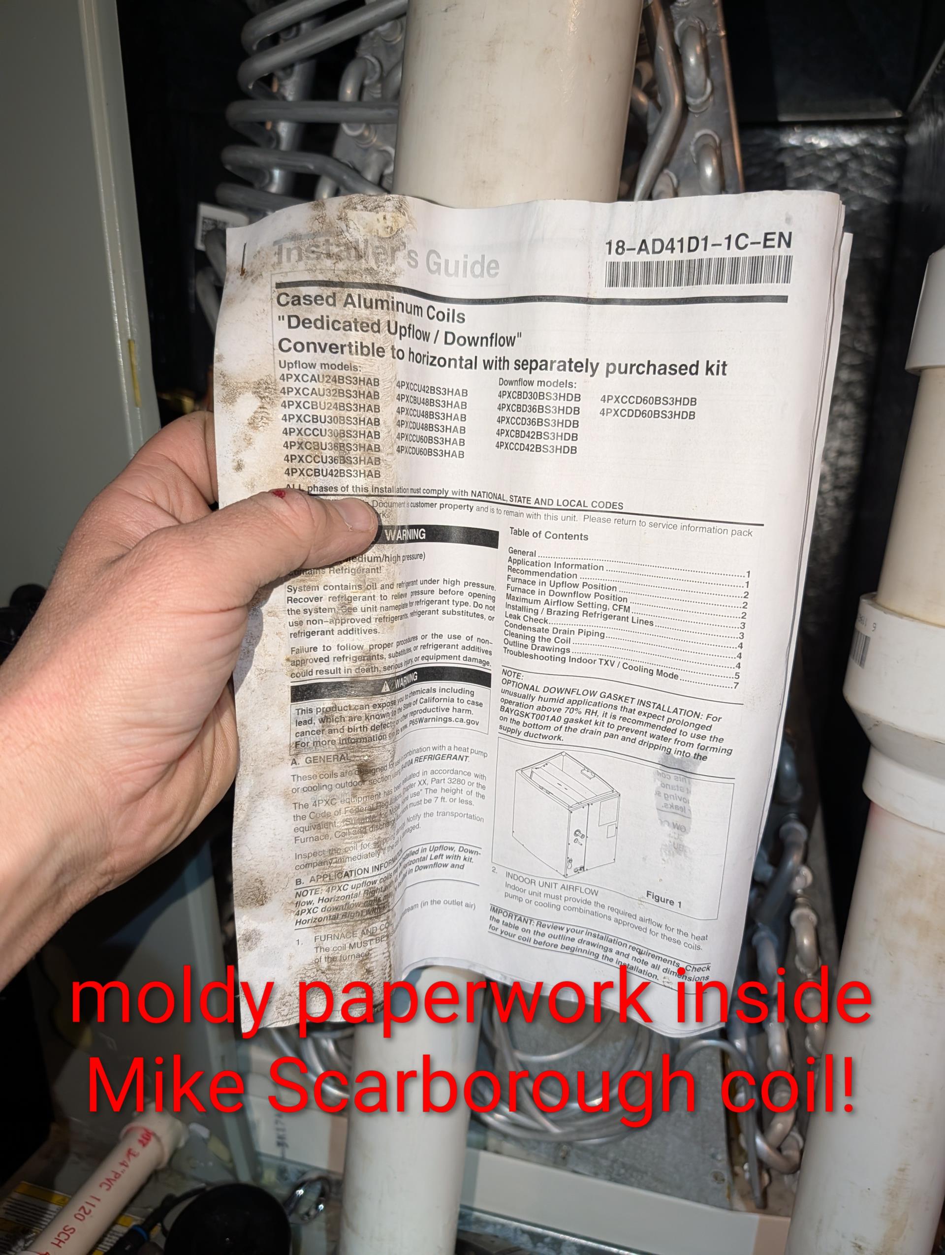 Took apart indoor coil including the front A plate. 
Cleaned with evaporator coil cleaner. Then rinsed with water.
Then sprayed with BioFriesh antifungal spray. All surfaces front, back, inside, outside of coil, a plates and u bends. Also cleaned drain pan. 

Per instructions I did not wipe biofresh off with rags. Allowed to air dry. Reassembled indoor coil.

Set system to OFF, fan On for 10 min to dry indoor coil.

Set system back to heating before leaving. 



