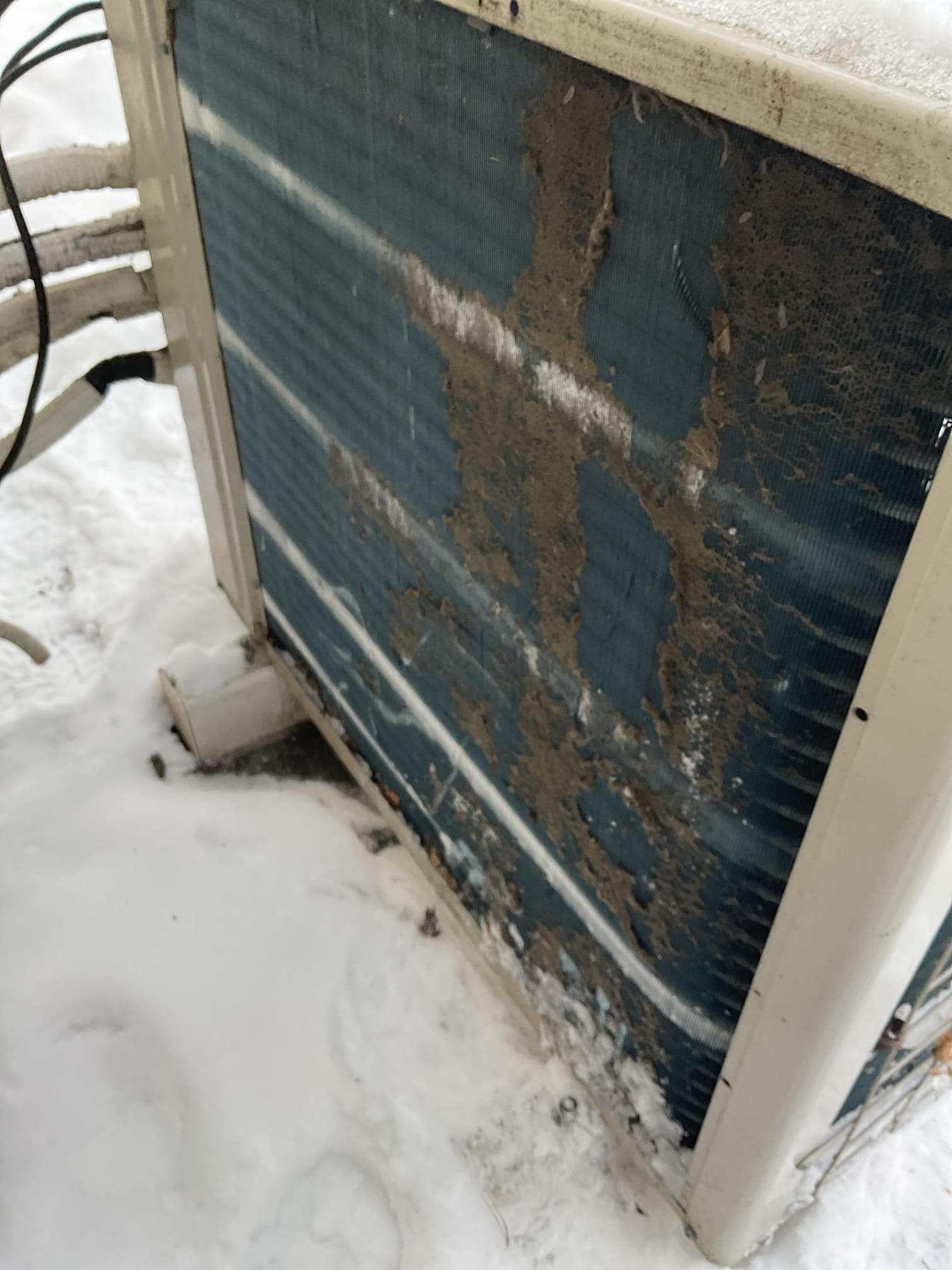 I arrived on a daikin mini split heat pump w/ 3 heads 5 yrs old . 
Customers said heat wasn’t working to well. I found all 3 indoor heads the filters needed to be cleaned, and the outdoor unit coil had lint debris on it. I Cleared and checked my indoor temps . I had 67° return and 96° from all 3 heads. I did let the customer know the unit will go into a frequent defrost mode when it’s colder. The system is running fine at this time I did recommend in having maintenance completed on the mini split system. I collected for $193.55 for today.