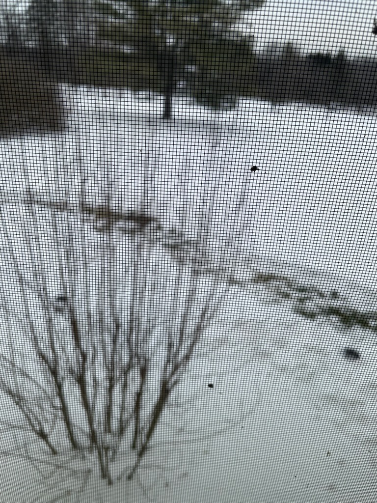 

Note:  Proposal is based on oil tank being below 1/4 tank.

Disconnect, remove, and dispose of old oil tank.

Install new Roth oil tank in existing location.

Install new Roth tank kit with new gauge and whistle.  Repipe new tank to outside.

Complete all mechanical connections to the new oil tank.

Install Tiger Loop system on boiler to automatically remove air from the lines.


2/27/26 Dan 

I arrived to the customers home to bleed the oil fired burner. We have just installed a Roth oil tank the day before for the customer and the lines needed to be bled before turning on the boiler . I took photos of the new tank and inspected for any leaks on the joints . I turned the power back on to the oil boiler and bled the oil burner. Tested system operation, everything is back up and running. No charge included with the install . 