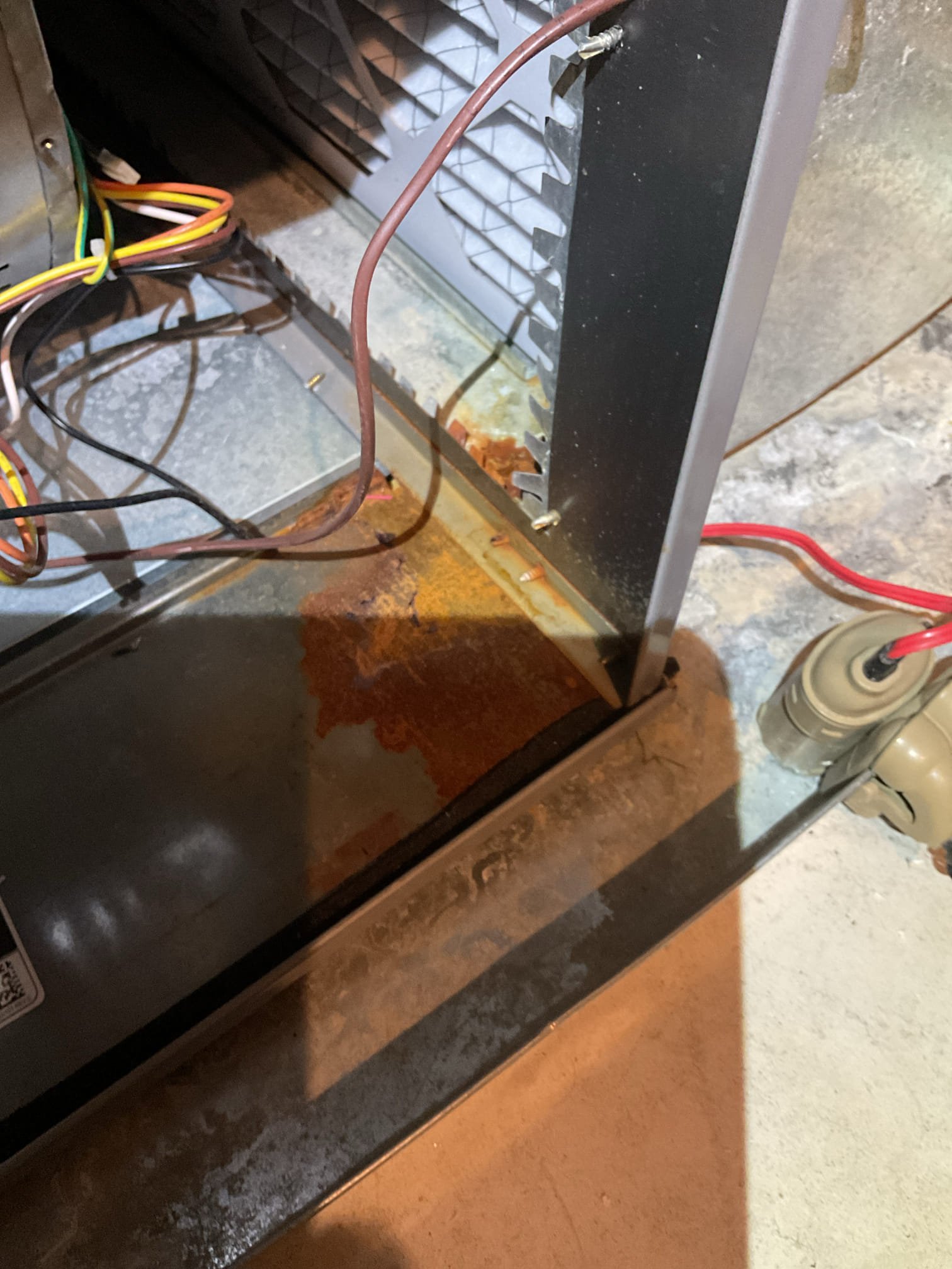 02/27/26 Dan 

I arrived to the customers home , they have a water leak , we just installed a new humidifier. 
No recall or warranty, it had nothing to do with the humidifier install . Found furnace trap had water around it . I did clean out the trap and pitched  the drain line down ,  it was pitched up . I turned the system back on and bumped the temp up to tested for a period of time to check for water leaks. No water leaks at this time and the drain line is moving water and draining. I collected for my repair and diagnostic for $372.51 paid by check