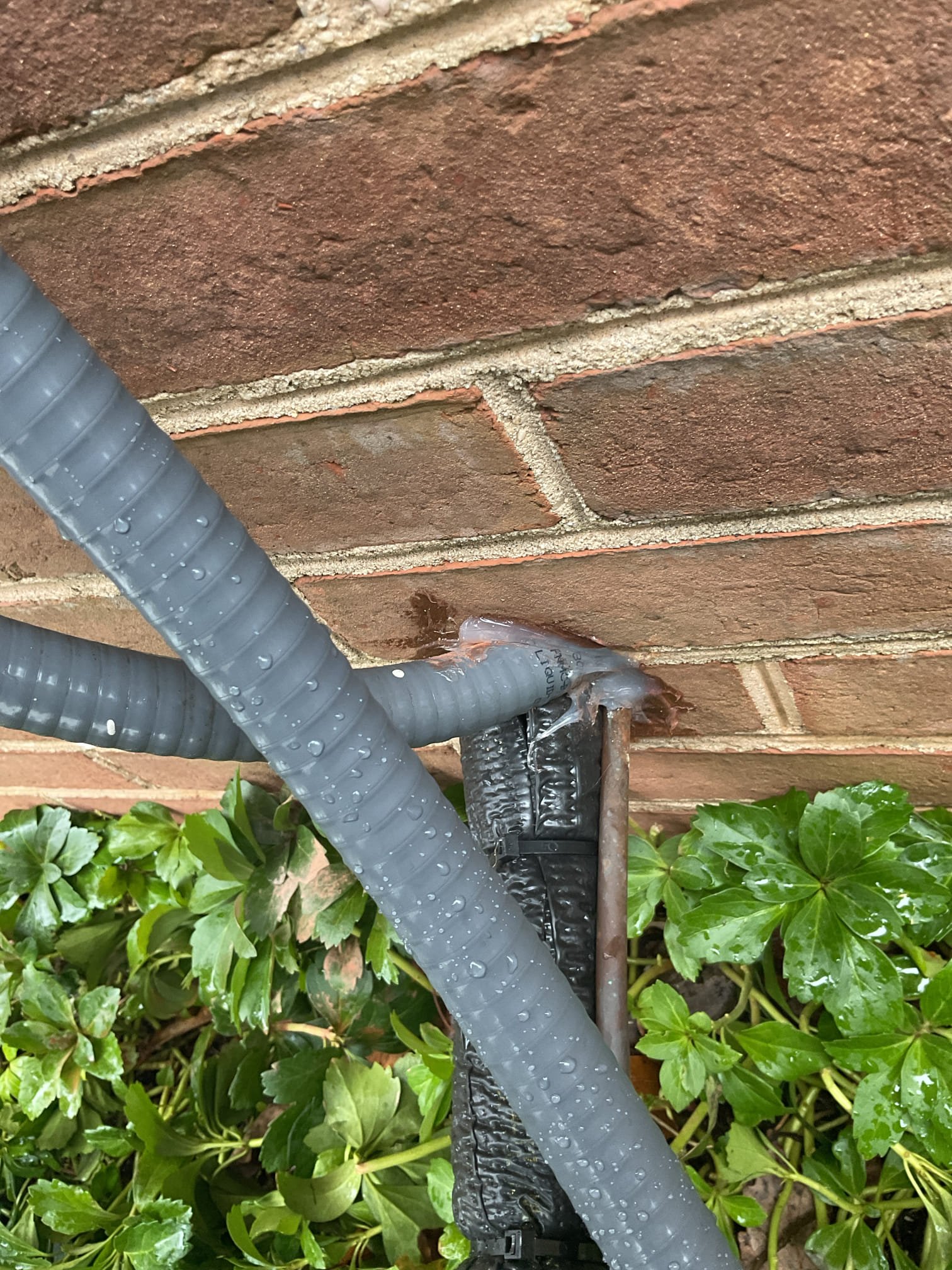 Performed quality assurance on recently installed Bosch heat pump. Test back up heat 15 kw ok. Check heat pump operation check supply and return air temps, 30 degree split. Test safeties ok. Per customer lockout emergency heat at 40 degrees and set timer 40 minutes for electric to come on. System is working properly at the time service. System pass inspection. 