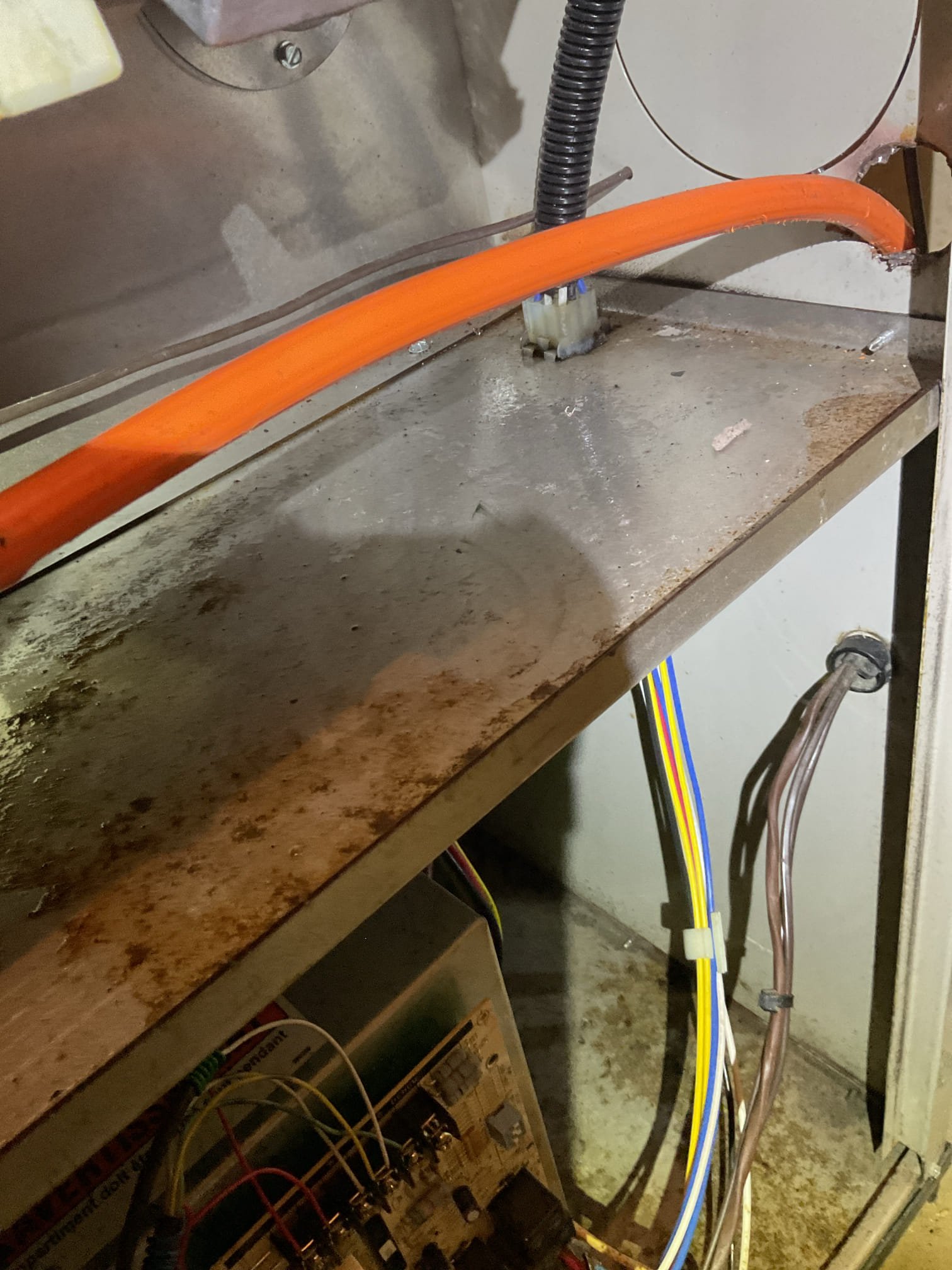 I arrived to the customers home for no heat on an oil furnace. I the 
Found system is getting oil , and pump is working , but the unit wasn’t combusting. Found oil residue in the blast tube and on the nozzle assembly. Faulty nozzle. I replaced the nozzle and cleared the nozzle assembly. I put everything back together and set the electrodes . I bled  and primed the burner. Tested system operation and combustion. I covered the nozzle replacement we were just here recently for a maintenance. Collected for prime and purge and diagnostic. Collected $249.58, paid by cc. 