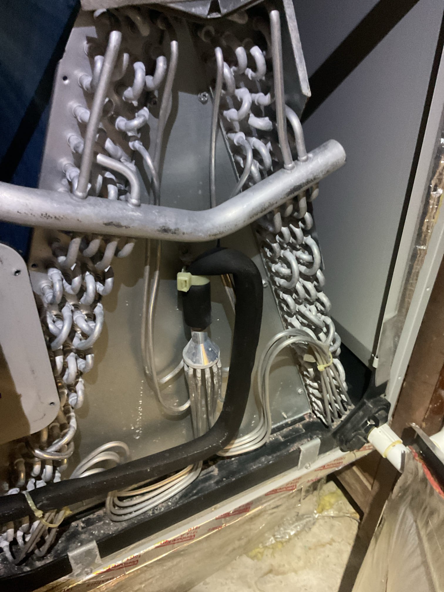 Completed AC tune up for 5 Ton Bosch inverter system

Replaced 20x22x1 filter
Indoor and outdoor coils in good condition 
Inspected wiring, controls, electric motors and components; left estimate for surge protector for indoor blower motor
Measured temperature split and static pressure 
Inspected drains; clears EZ trap, added treatment tabs to drain pan. 

Assessed refrigerant charge checked pressures. Made sure measured pressures matched what control board is reading. 

AC system operating well at this time. 

Homeowner paid for plan renewal today. 