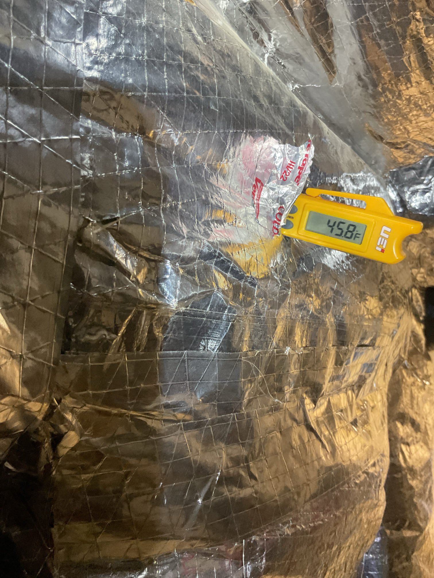 Completed AC tune up for 5 Ton Bosch inverter system

Replaced 20x22x1 filter
Indoor and outdoor coils in good condition 
Inspected wiring, controls, electric motors and components; left estimate for surge protector for indoor blower motor
Measured temperature split and static pressure 
Inspected drains; clears EZ trap, added treatment tabs to drain pan. 

Assessed refrigerant charge checked pressures. Made sure measured pressures matched what control board is reading. 

AC system operating well at this time. 

Homeowner paid for plan renewal today. 