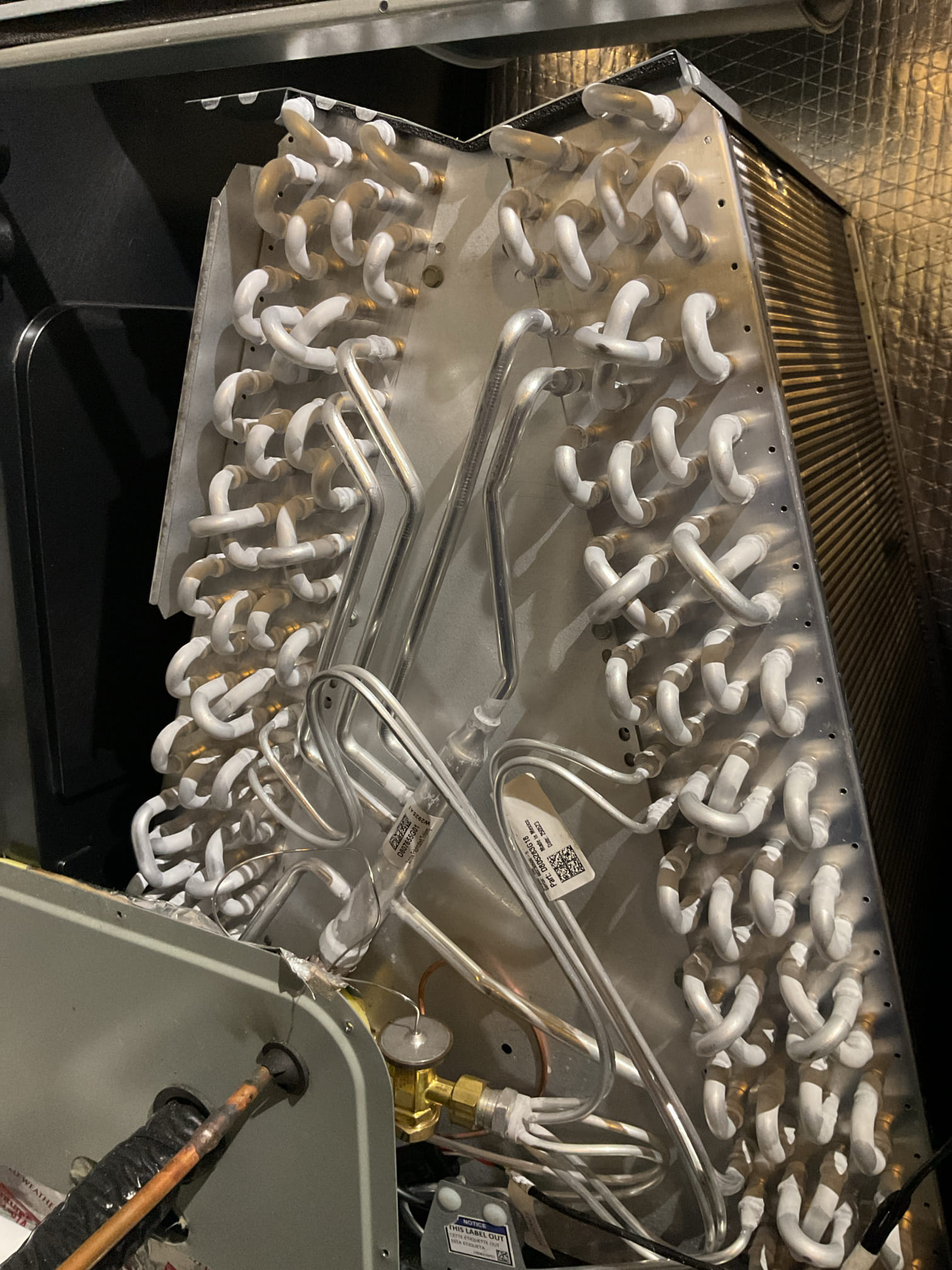 4/7/25 performed precision a/c tune up on 2025 trane heat pump system. Replaced 20x24x1 air filter. Checked all electrical connections and components. Brushed out ez trap, checked temperature split. Did not put gauges on the system due to being a critical charge system, whistle noise is just normal airflow noise, not any issue with the system. Heat pump is working properly at time of service. 


