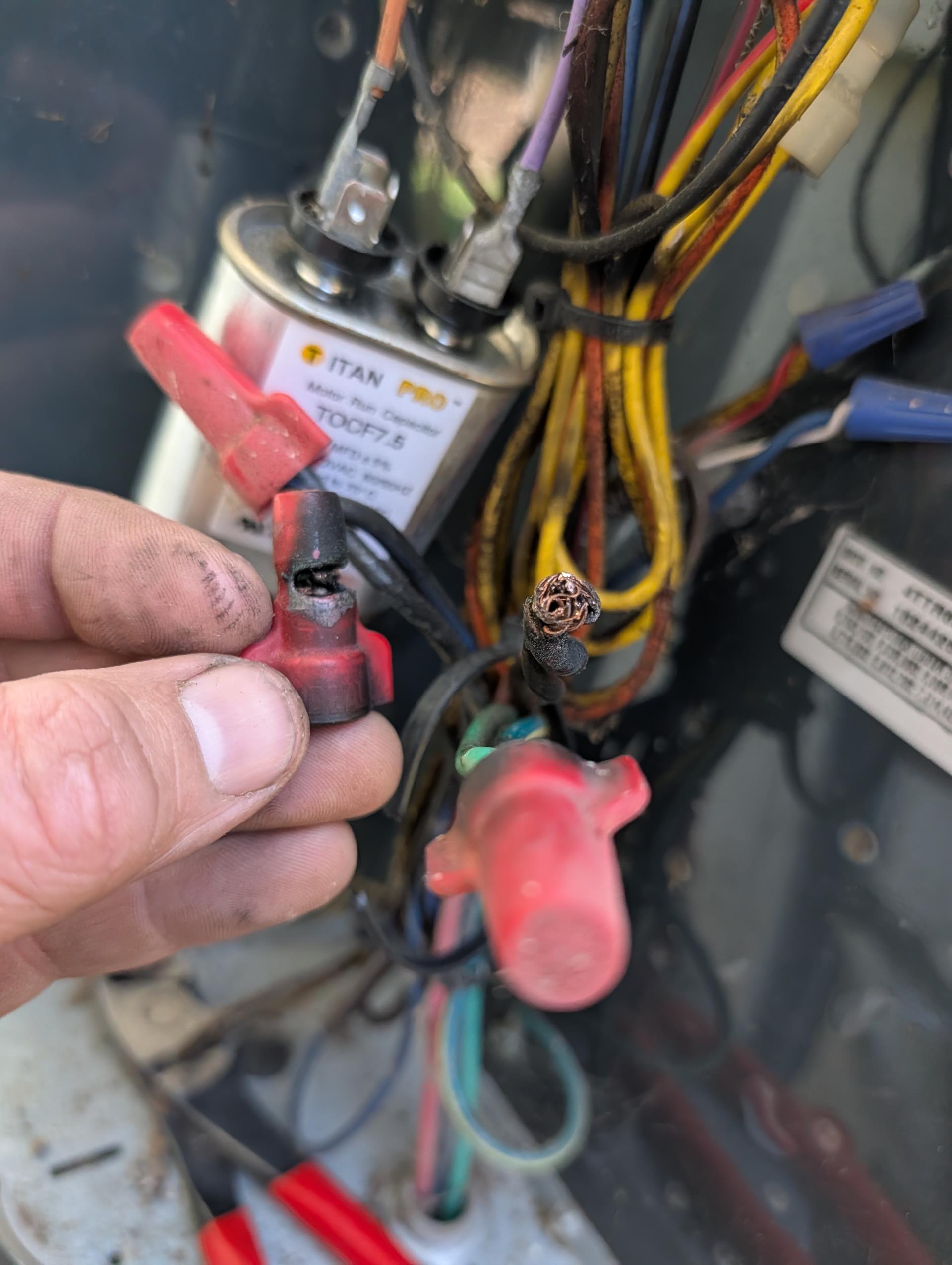 No cooling. Issue was overheated high voltage wiring connection at outdoor unit. Copper was frayed. One side of contactor reading 0 volts to ground.
Homeowner agreed to repair wiring. 
Cutback burned wire and stripped to new copper. Re connected all high volt connections with new wire nuts.

After, I completed AC tune up for 3 .5 Ton Trane AC system days to 8/2015 10.5 years old

20x25x4 filter ok 
Indoor and outdoor coils in good condition 
Inspected wiring, controls, electric motors and components; left estimates for surge protectors 
Measured temperature split and static pressure 
Inspected drains; trap, tested pump; added treatment tabs to drain pan. Recommend wet switch and EZ trap float assembly. The surrounding rooks have finished flooring. A wet switch will shut HVAC down if water makes its way on to floors. Float assembly for trap    will shut equipment down if a clog occurs in drain line
 
Checked integrity of compressor motor (mega ohm test)

Assessed refrigerant charge chec