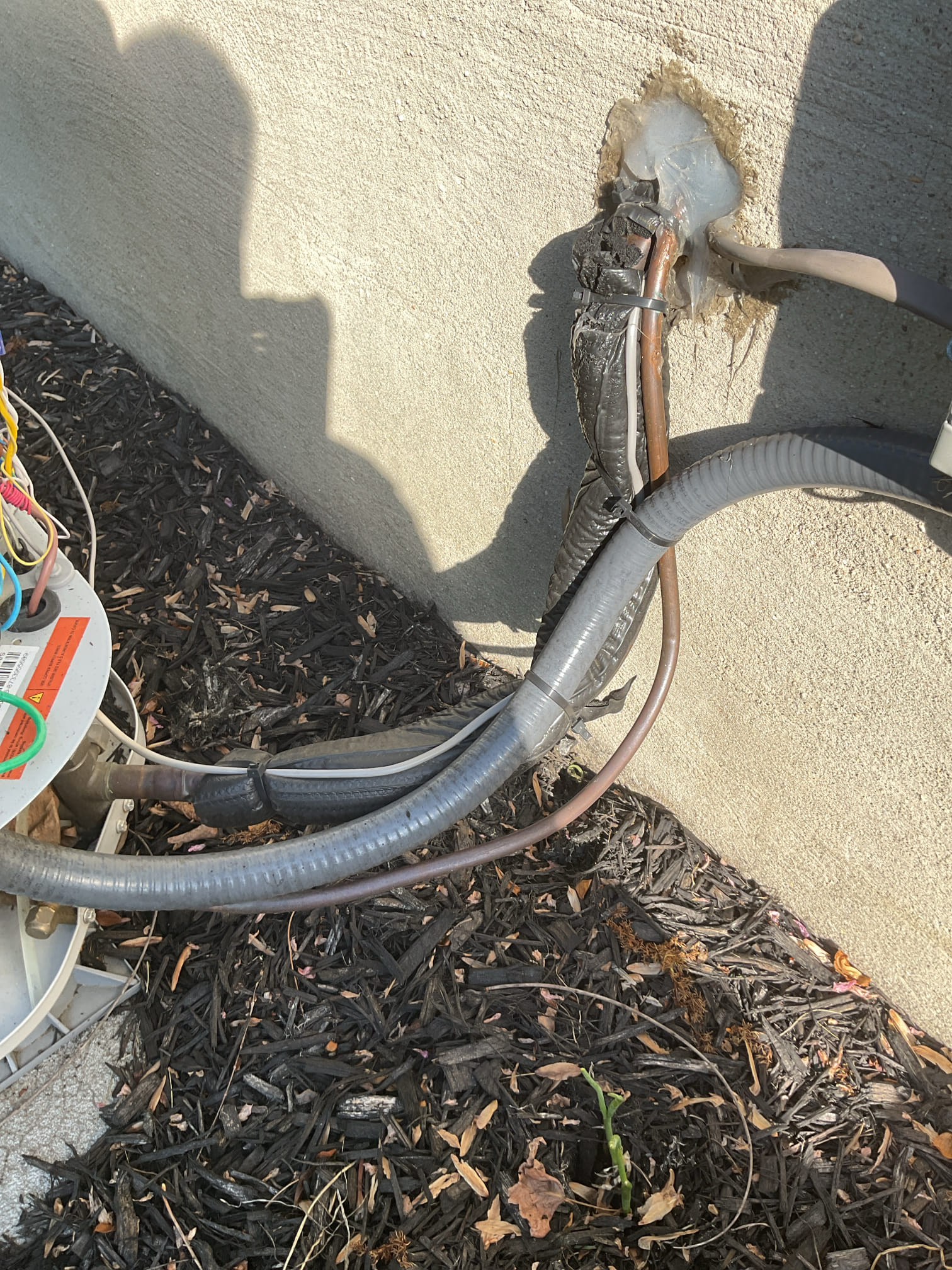 4/23/26 Dan 

I arrived to the customers home to service their 2 yr old Bosch  heat pump . I checked the wiring connections and the voltages . I checked and found the indoor air filter was fine , they will replace in 2 months  the filter size is a 413. I Inspected the indoor coil and tested the primary drain pan and cleared and tested the water drains and traps if applicable. I Took indoor temp splits at the return and the supply  and checked the blower motor condition and operation. I looked  at the outdoor unit wiring connections and voltages . I inspected  the outdoor components and checked my unit pressures by using super heat sub cool method.  System in good operating condition at this time. I collected for my service renewal contract for $189.00. 
