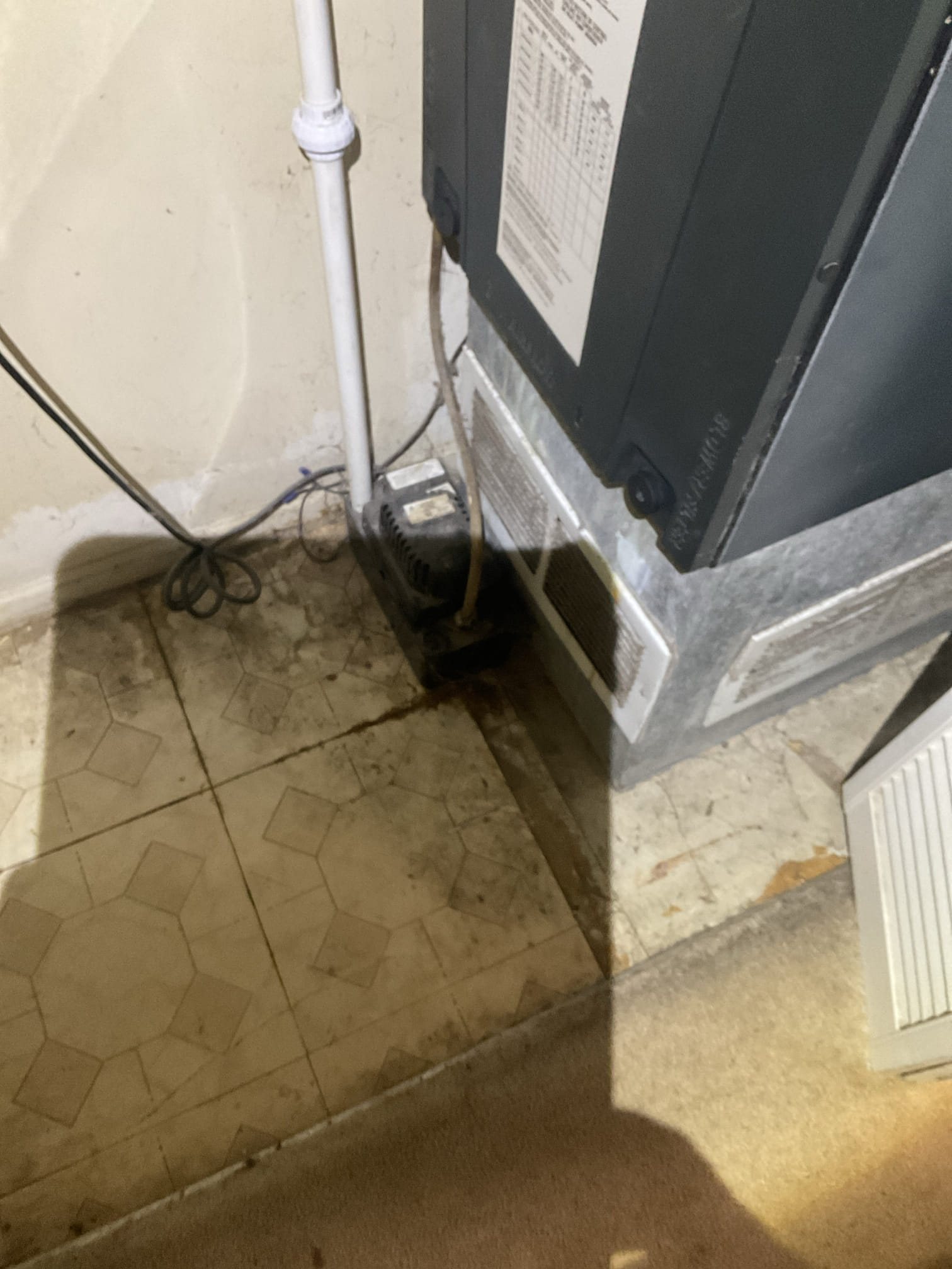 5/4/26 Dan 

I arrived to the customers home to service their 11  yr old trane a/c system.  . I checked the wiring connections and the voltages . I checked and replaced the indoor air filter , filter size is a 16x20x1 . I Inspected the indoor coil and tested the primary drain pan with water and flushed the drain line and cleared. I Took indoor temp splits at the return and the supply  and checked the blower motor condition and operation. I looked at the outdoor unit wiring connections and voltages . I inspected  the outdoor components and checked my unit pressures by using super heat sub cool method.  The system is currently operational but past normal life expectancy. Replacement of system is recommended in the near future. 
