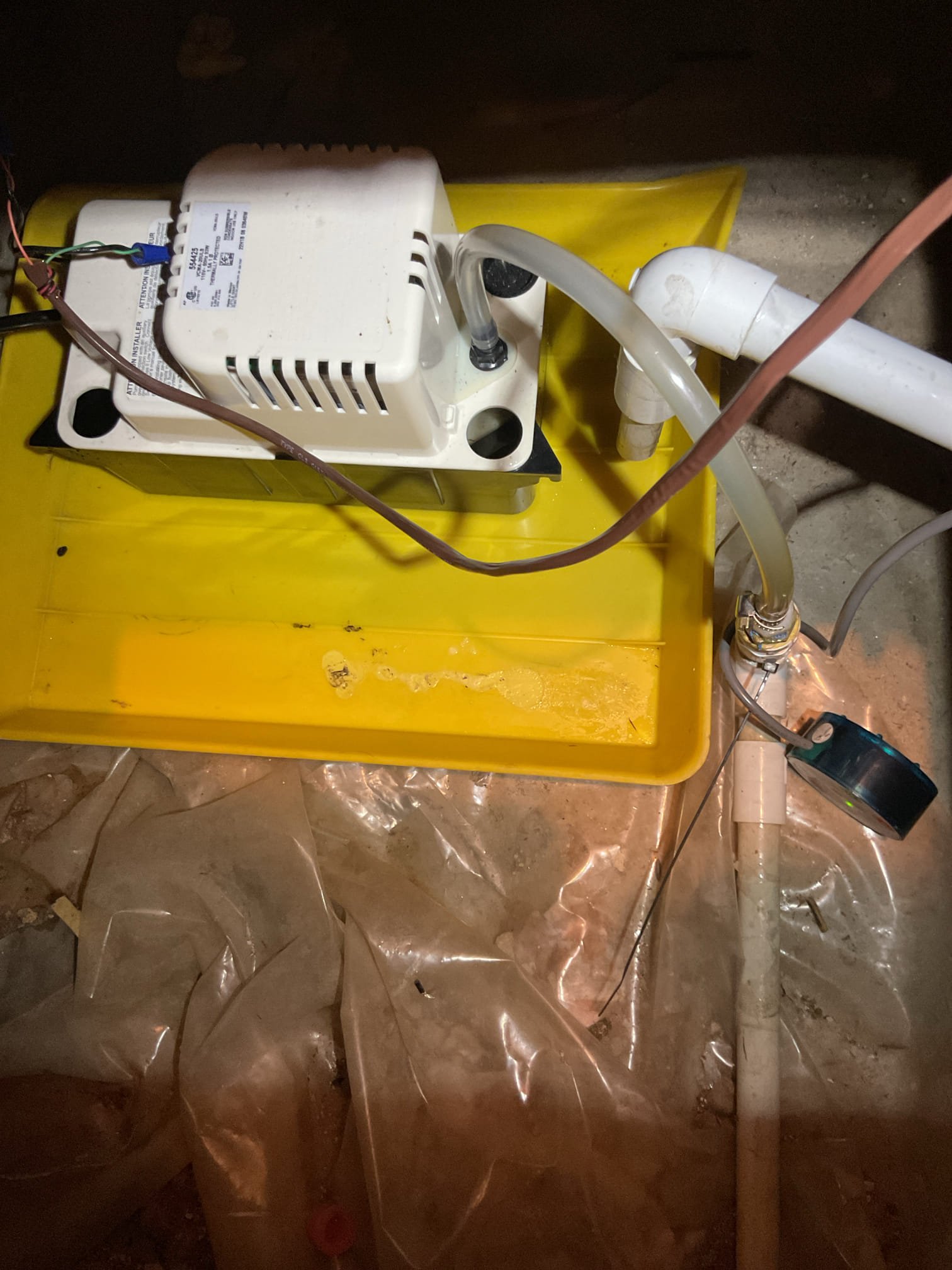 Homeowner mentioned that they had to manually empty the condensate pump to get system to work.
When I arrived I brushed out EZ trap body. Then tested pump. Drain line Appeared to be clear. I removed the short piece of discharge tubing and blew drain line with C02 just to. E sure drain is clear. 
Tested several times. Drain terminates in 1/2” pvc at the work sink at the other side of basement.

Replaced 18x20x1 air filter,
Was last replaced 6/22/23. Very dirty. Recommend replacing every 3-4 months. 
Tested system afterwards. 22° Temperatures split (77-55) Good
Recommend adding condensate pan treatment tabs every month. 

System operating well at this time. 

