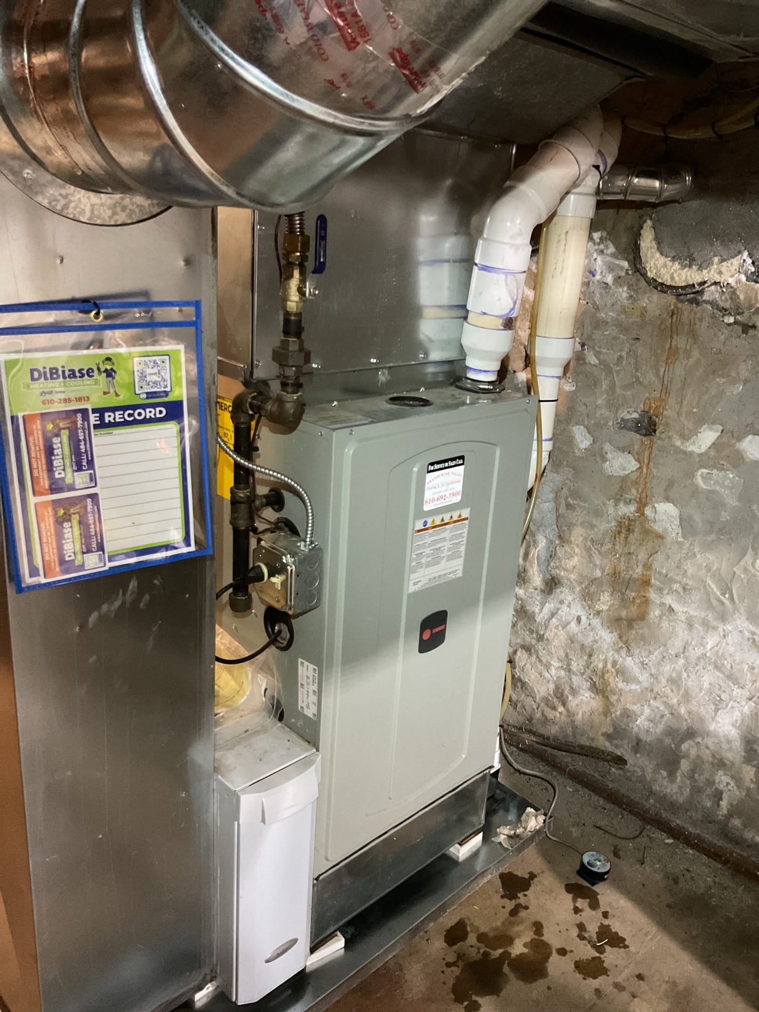 No cooling Equipment is 3.5 Ton AC with 100,000 BTU furnace.
Furnace dates to 2019 7 years old; coil is uncased.* Basement is a crawl basement with low ceiling. 
AC dates to 2007, 19 years old

Found water in equipment pan> tripped wet switch.  Removed and Dried with wet vac. 
Brushed put trap and available cleanout. 
Tested pump by adding 1 gallon water to trap cleanout.

Tested systems with probes on refrigerant service ports. I noticed the compressor kick off and lights flicker on one occasion but then stop and compressor ran another 7 min or so.
Ultimately found wet switch contacts wired to the Y and C of the outdoor unit low voltage. As if the technician who wired it thought the safety wires were the outdoor low voltage wires.
Fixed wiring. Wet switch and condensate pump safety now wired in series so that either or both with break power to thermostat. Outdoor low voltage wires now wired to Y and C on board.
Afterwards allowed system to run in cooling. At first No water leaks and p