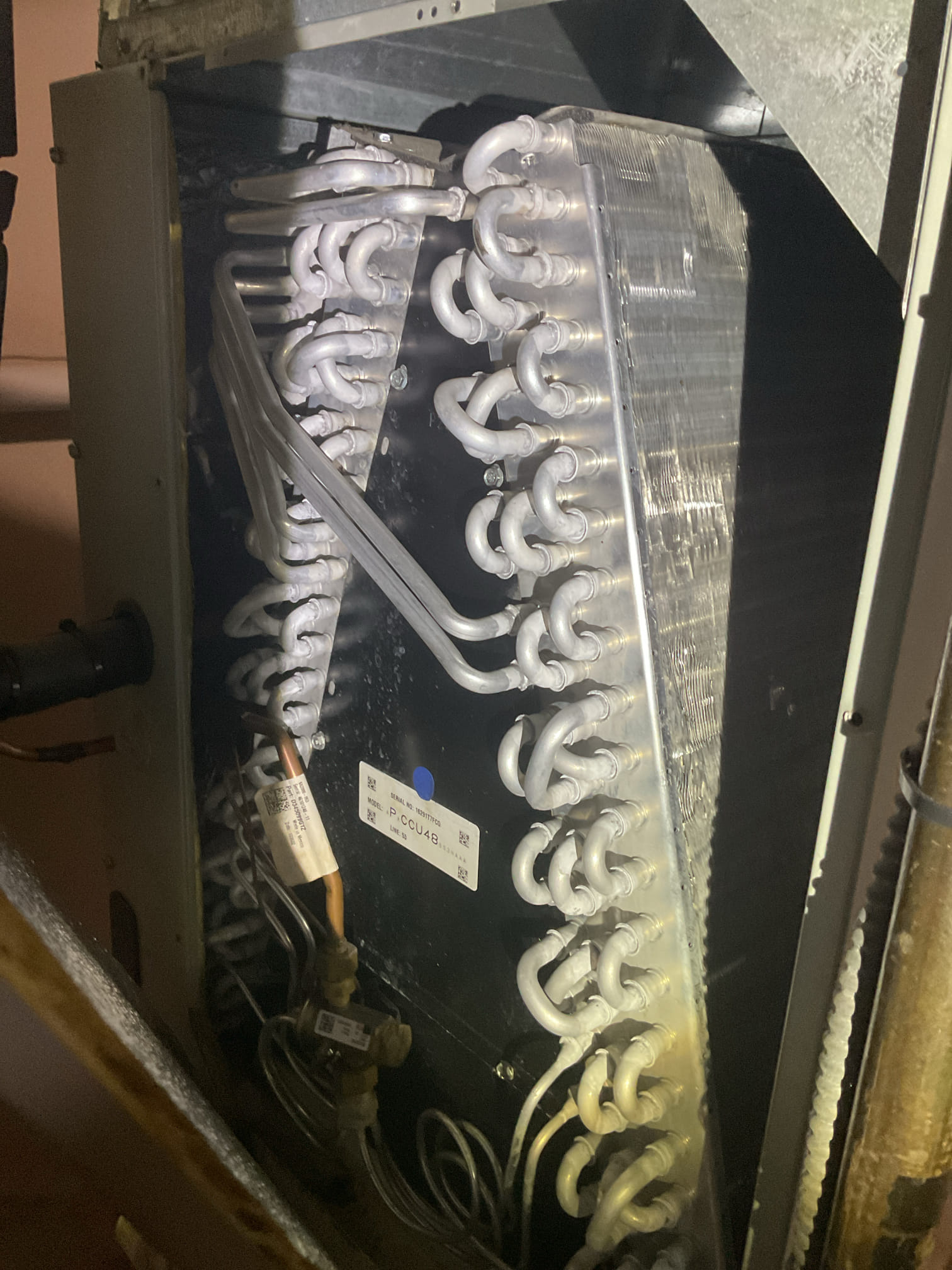 6/10/26 Dan 

I arrived to the customers home to service their 10+ yr old Trane a/c system.   I checked the wiring connections and the voltages . I checked and replaced  the indoor air filter , filter size is a 16x25x1. I Inspected the indoor coil and tested the primary drain pan with water and flushed the drain line and cleared. I Took indoor temp splits at the return and the supply  and checked the blower motor condition and operation. I looked at the outdoor unit wiring connections and voltages . ( found low volt wiring was chewed by a field mouse , wires needed to be repaired ) I quoted the customer for the wiring repair and she approved. I fixed the low volt wiring and continued on with the check up. I inspected  the outdoor components and checked my unit pressures by using super heat sub cool method.  The system is currently operational but past normal life expectancy. Replacement of system is recommended in the near future. 

I did leave a replacement estimate, and a few water s