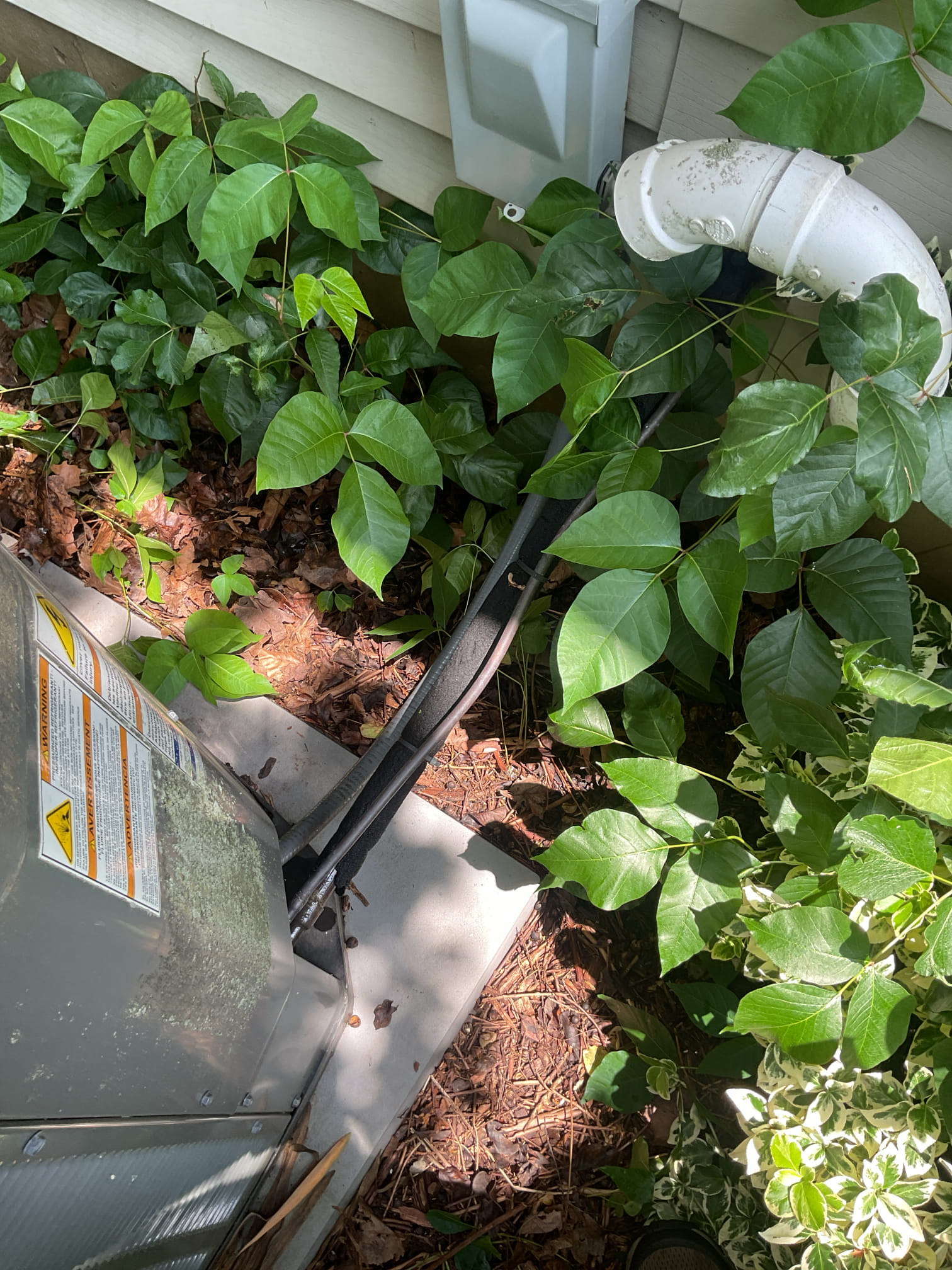 6/12/26 Dan 

I arrived to the customers home to service their 13 yr old trane  a/c system.  I checked the wiring connections and the voltages . I checked and replaced   the indoor air filter , filter size is a 16x25x1. I Inspected the indoor coil and tested the primary drain pan with water and flushed the drain line and cleared. I Took indoor temp splits at the return and the supply  and checked the blower motor condition and operation. I looked at the outdoor unit wiring connections and voltages . I inspected  the outdoor components and checked my unit pressures by using super heat sub cool method.  The system is currently operational but past normal life expectancy. Replacement of system is recommended in the near future. 

I did leave an estimate review also collected for new customer contract for $189.00 paid by cc. 
