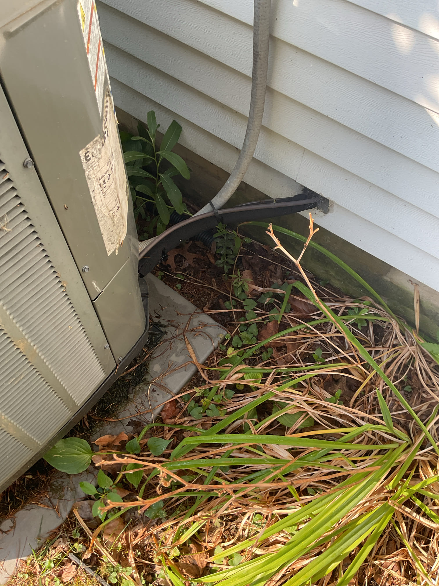 7/10/26 Dan 

I arrived to the customers home to service their 11  yr old trane heat pump system.  . I checked the wiring connections and the voltages . I checked and replaced the indoor air filter , filter size is a 413 AA. I Inspected the indoor coil and tested the primary drain pan with water and flushed the drain line and cleared. I Took indoor temp splits at the return and the supply  and checked the blower motor condition and operation. I looked at the outdoor unit wiring connections and voltages . I inspected  the outdoor components and checked my unit pressures by using super heat sub cool method.  The system is currently operational but past normal life expectancy. Replacement of system is recommended in the near future. I collected for one time $89.00 check up and $115.66 for a 413 air filter replacement. Total due for today is $204.66 paid by check# 1448
