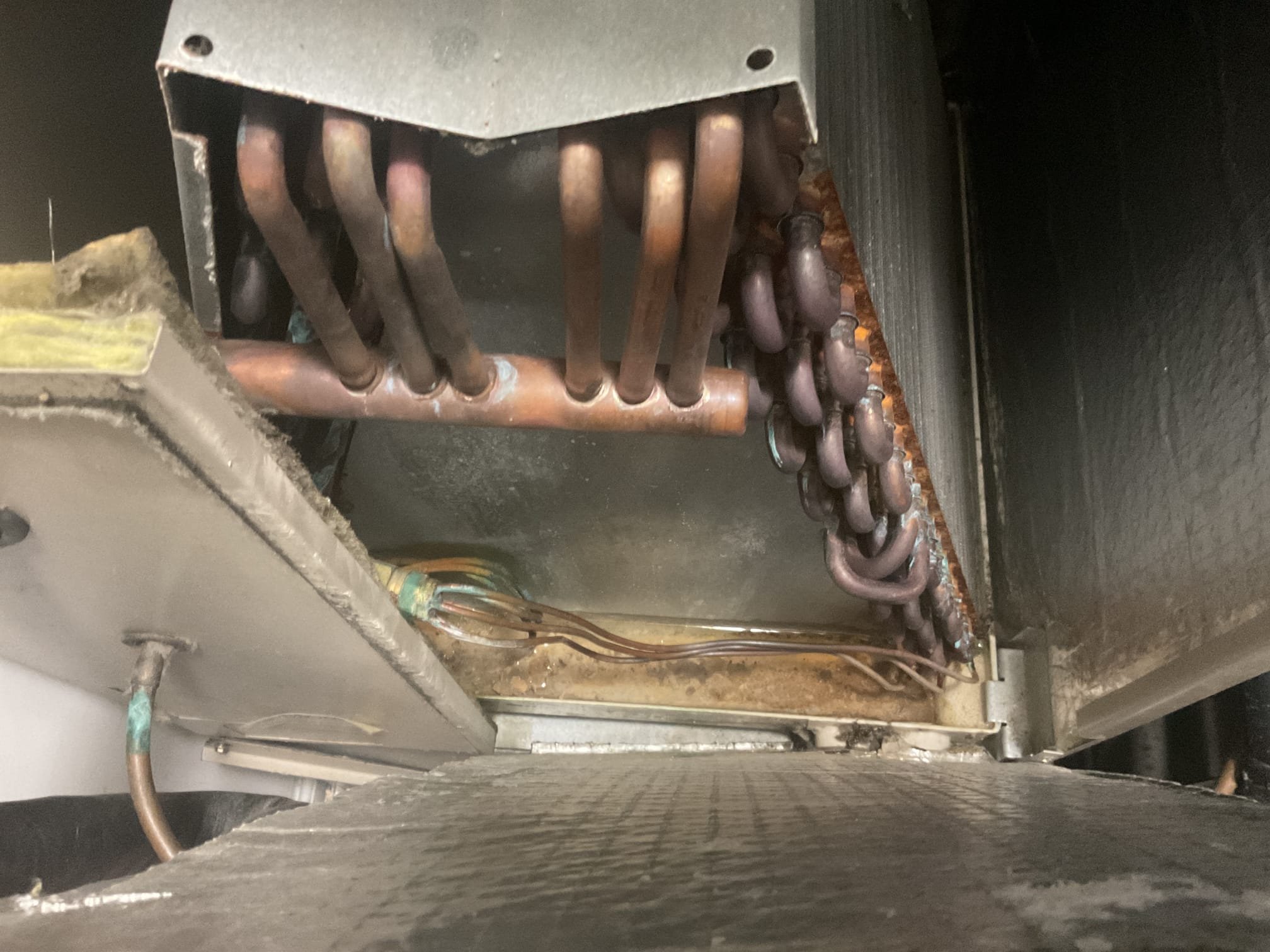 7/14/26. Fully assessed no cooling situation on 2009 Ducane heat pump system. Found nothing running when I arrived. Found a bunch of water in drain pan and drain was clogged. Looked over the condition of the air handler itself and it was full of bacterial growth and caked up blower wheel. Evaporator coil is also very rusted and corroded. Recommended to William that I can get it running but it’s pretty much at end of life. Recommend getting a replacement quote. After getting the system running had a 20 degree split. A/c is working properly at time of service. 