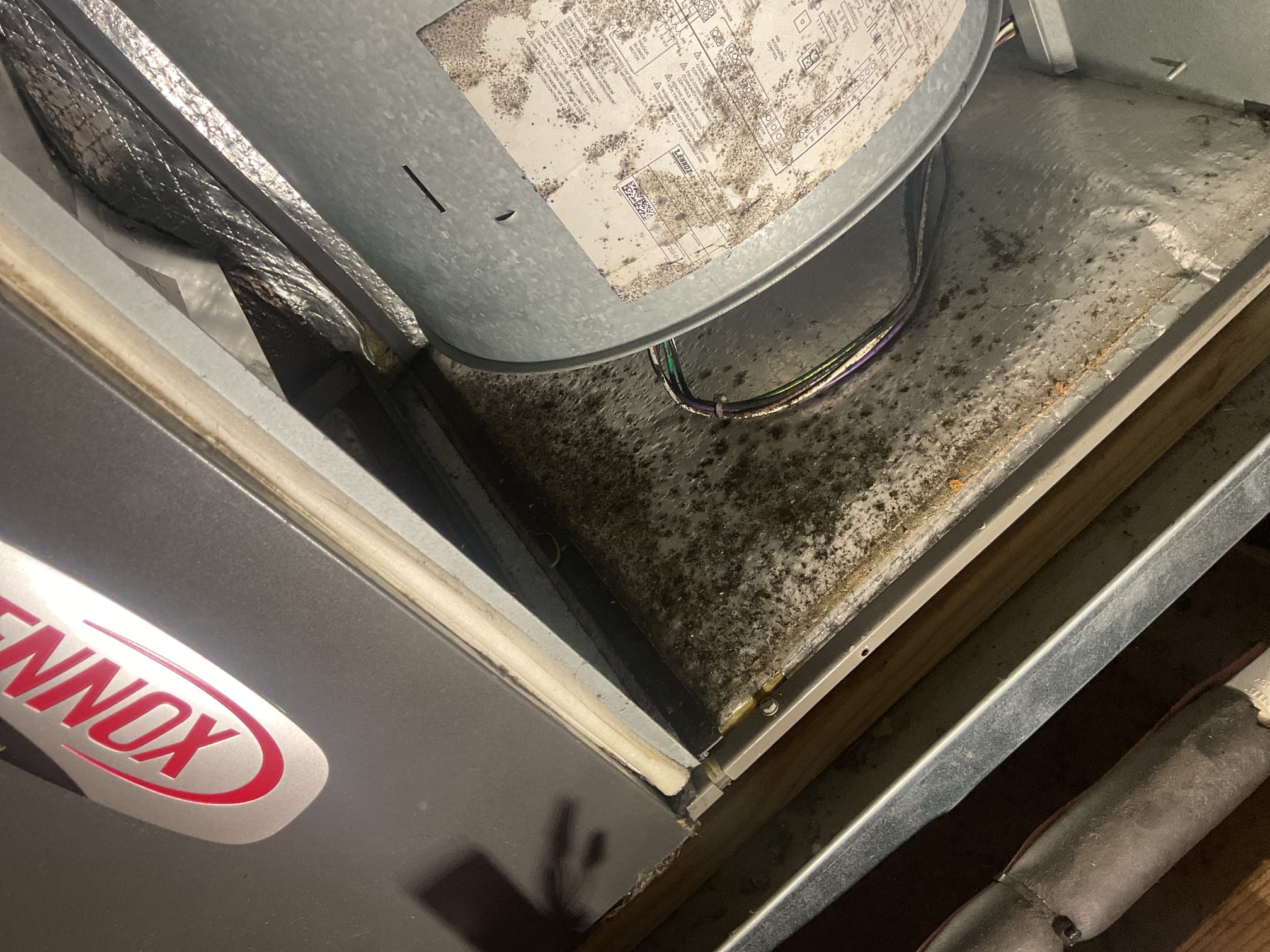 7/20/26 performed precision a/c Tune up on  (2) Lennox a/c systems. Replaced 20x20x1 air filter . 20x25x4 air filter is ok. Checked all electrical connections and components. Brushed out both ez traps. Checked temperature splits. Tested all capacitors. Checked refrigerant pressures and temperatures. Provided estimates for repairs and surge protection. Systems are getting to the replacement age. Both a/cs are working at this time. 